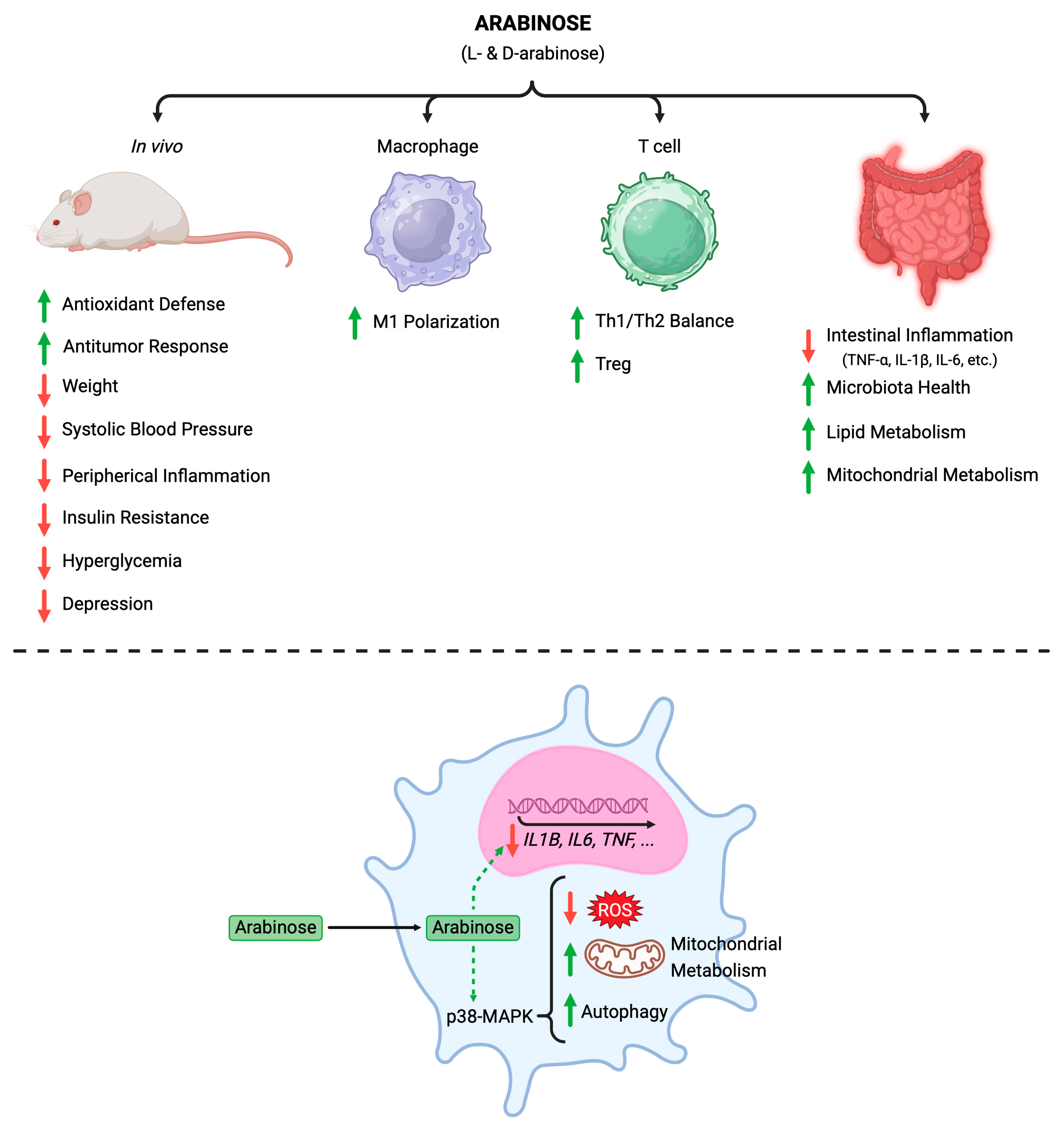 Molecules 30 01178 g001