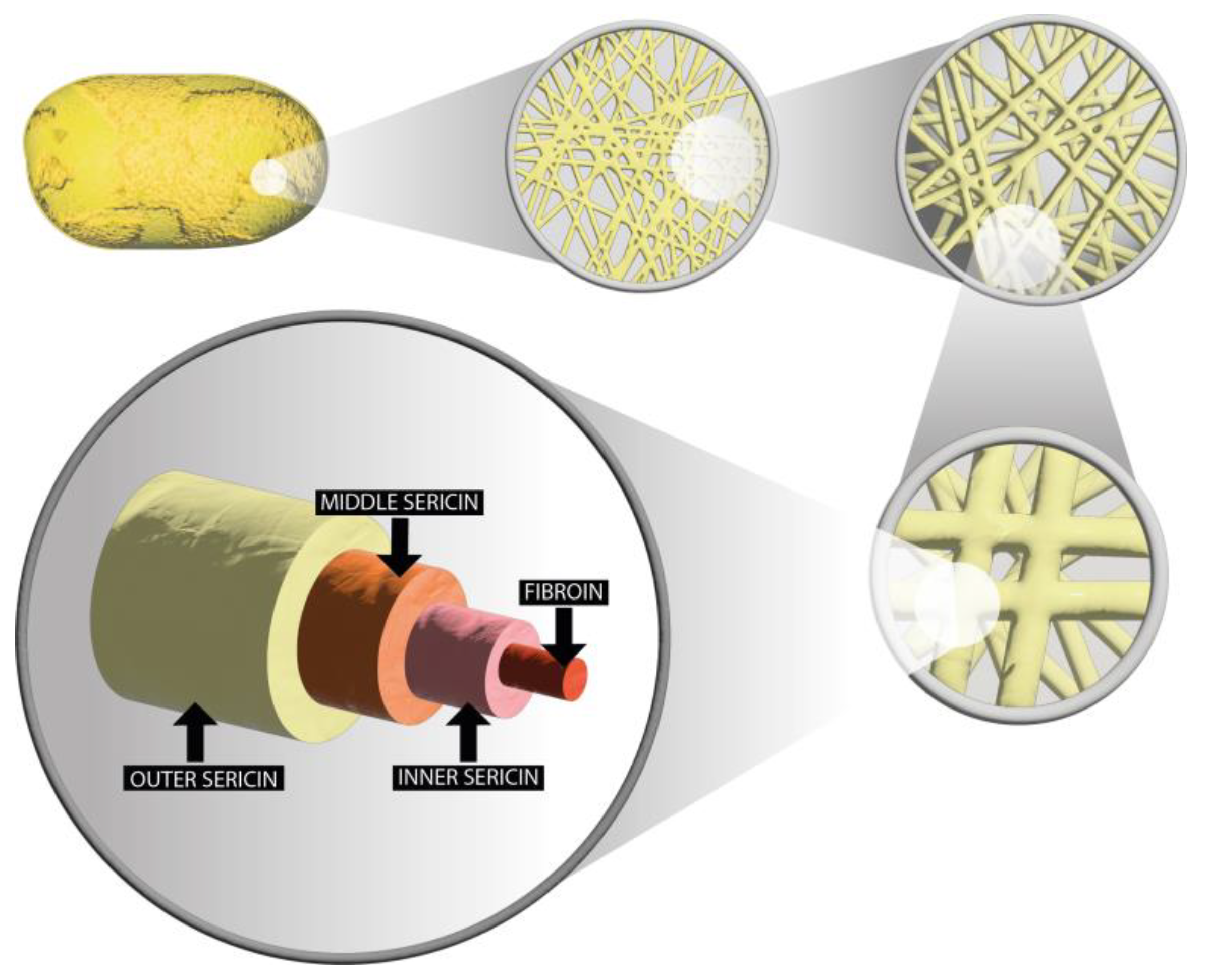 Molecules 30 01179 g001