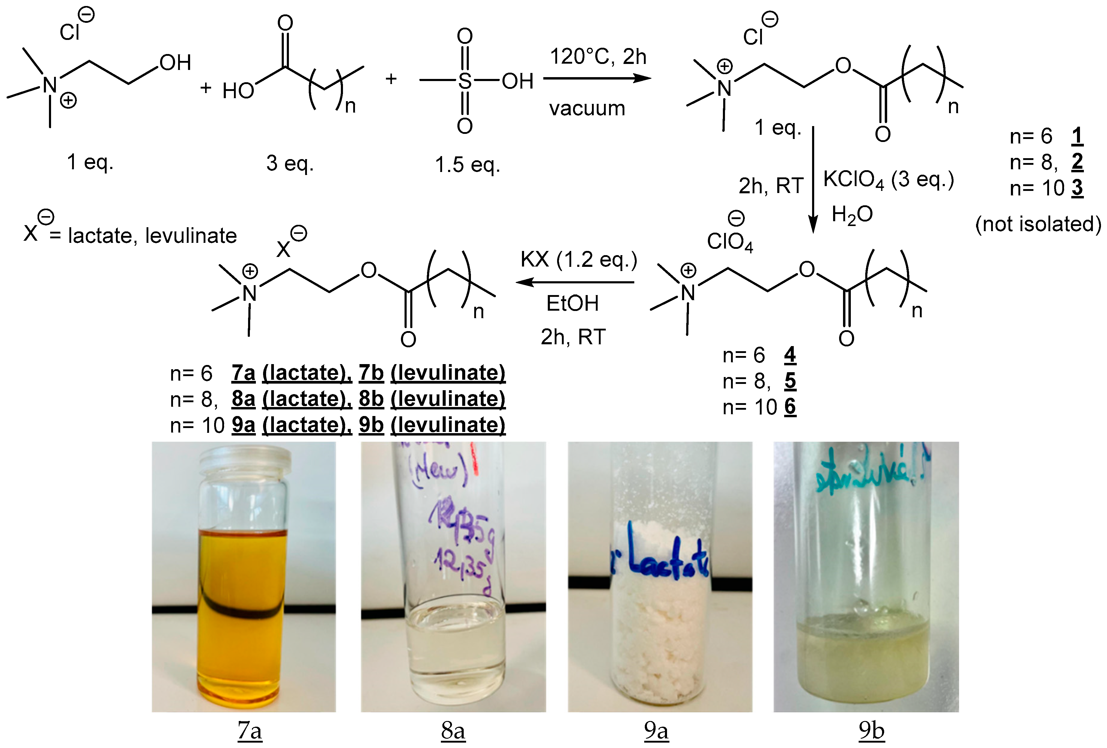 Molecules 30 01180 sch001