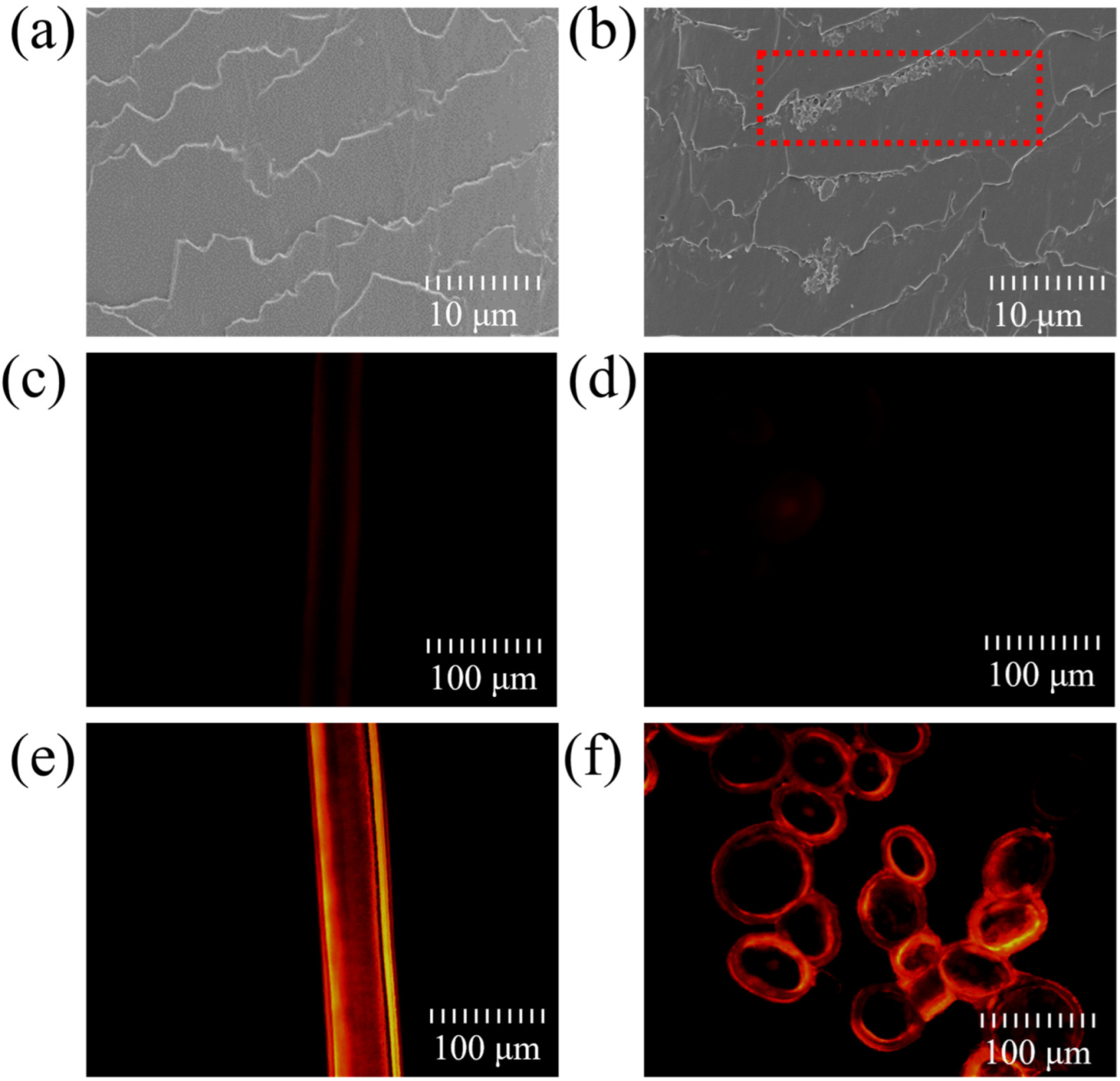 Molecules 30 01182 g001