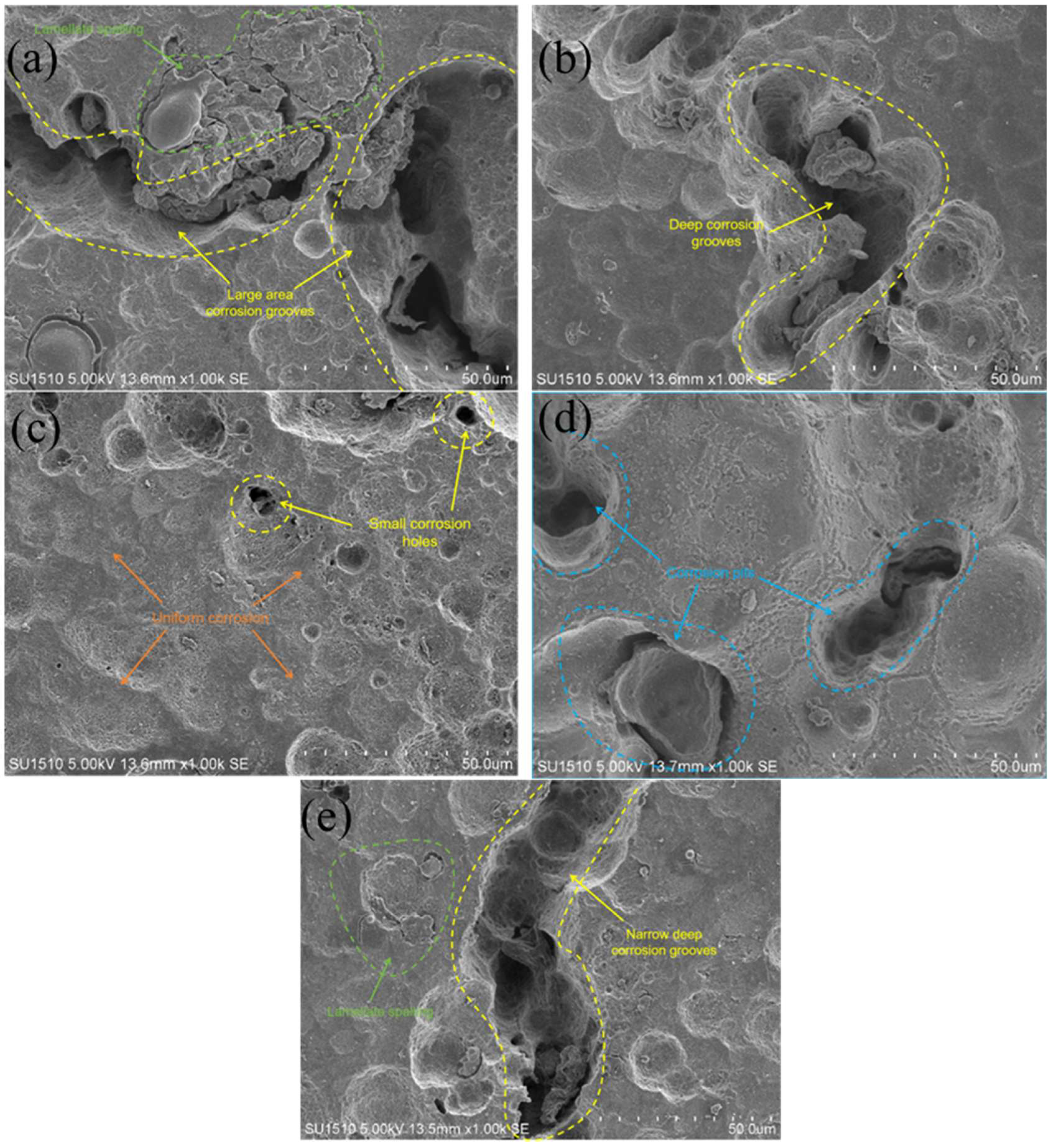 Molecules 30 01183 g015