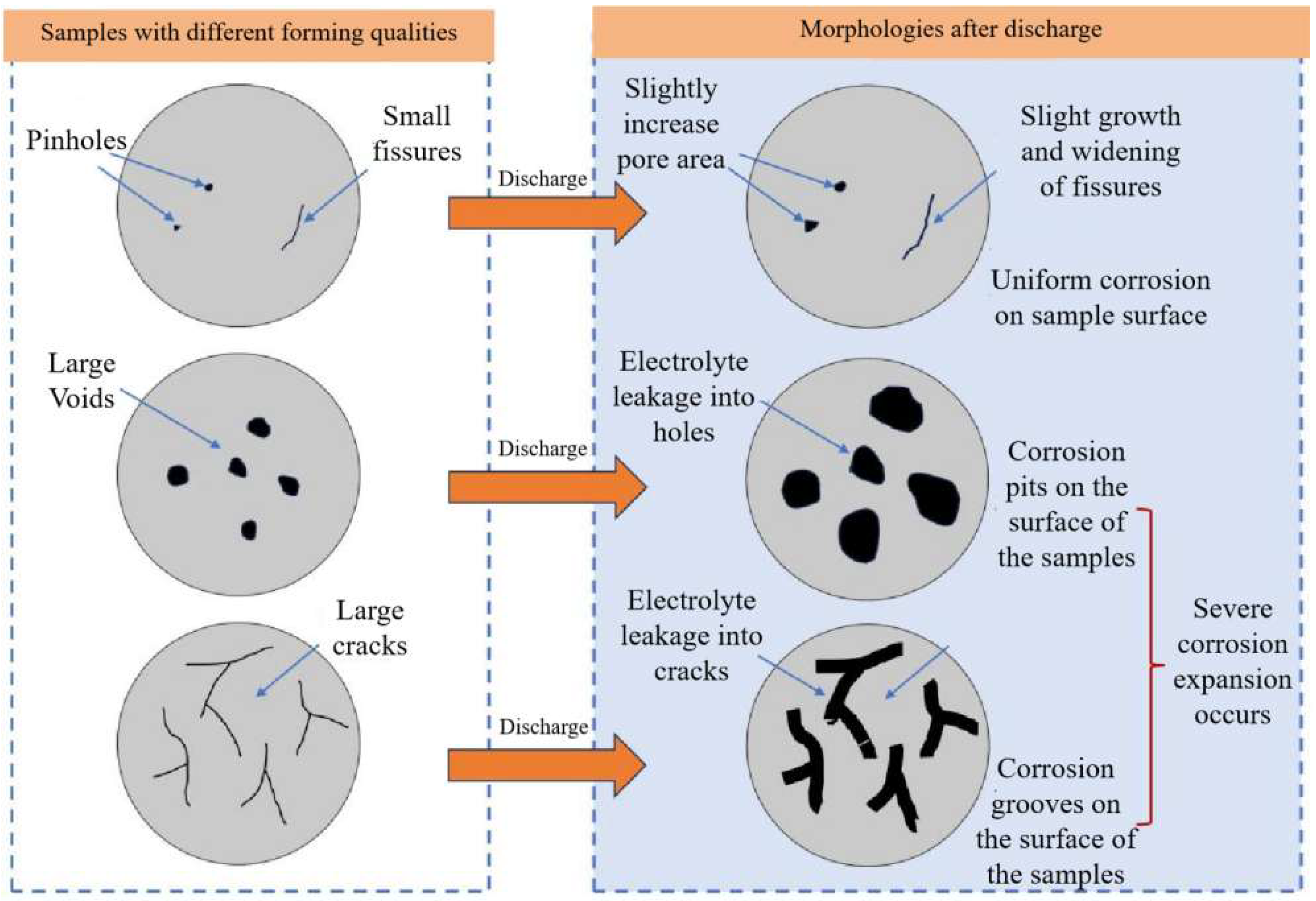 Molecules 30 01183 g016