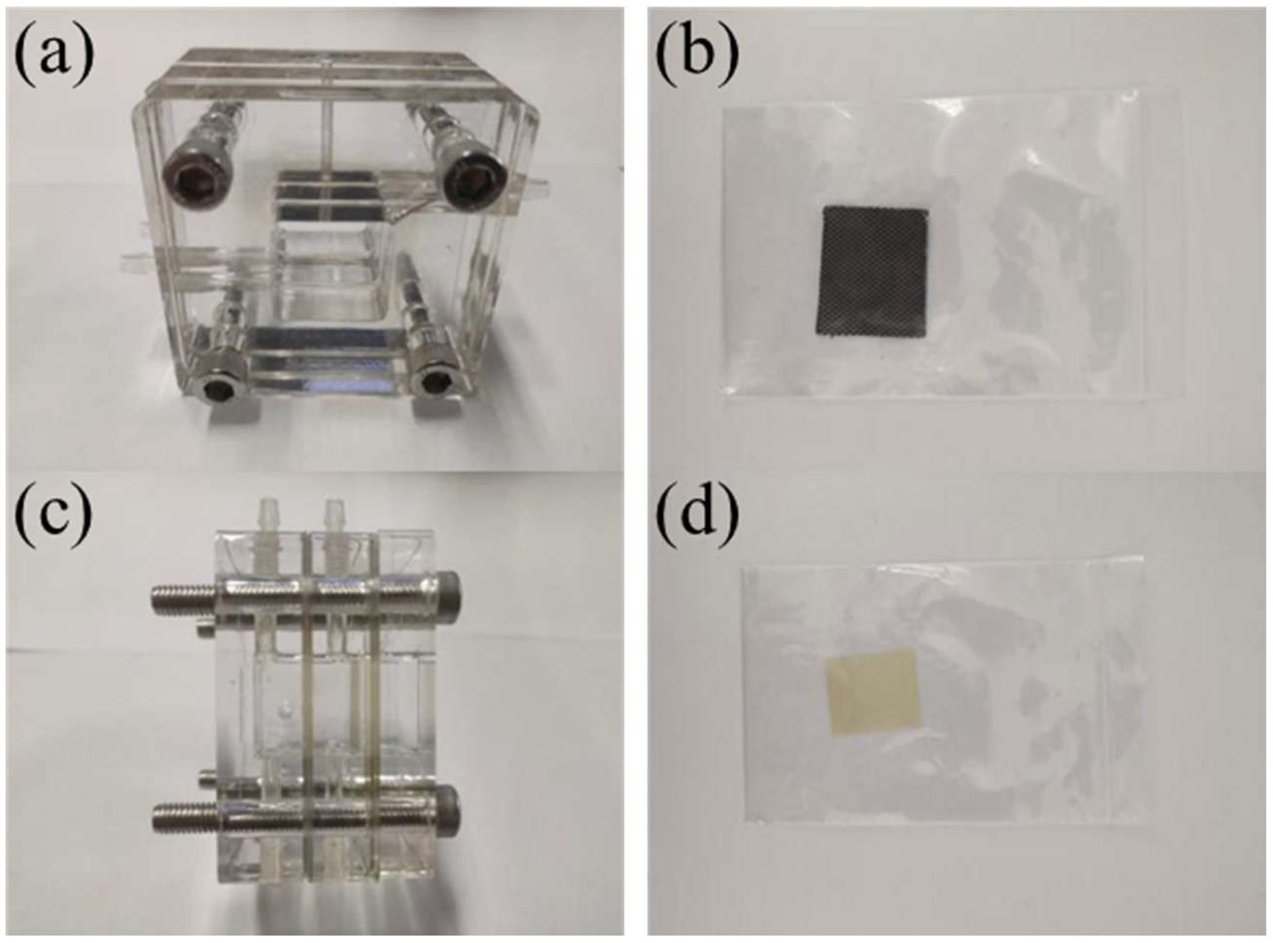 Molecules 30 01183 g021