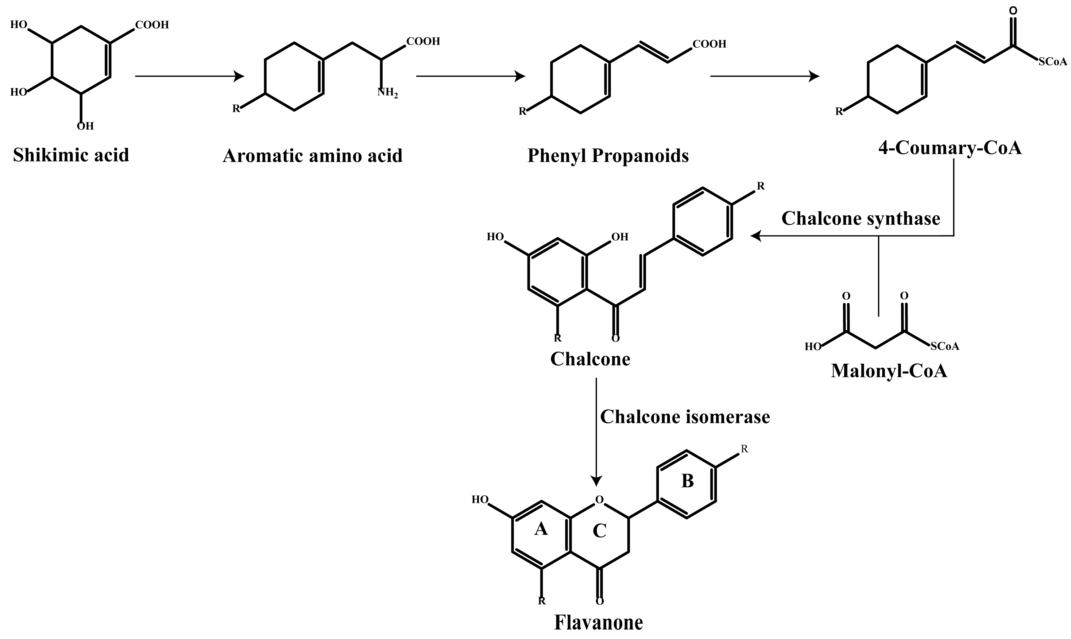 Molecules 30 01184 g002
