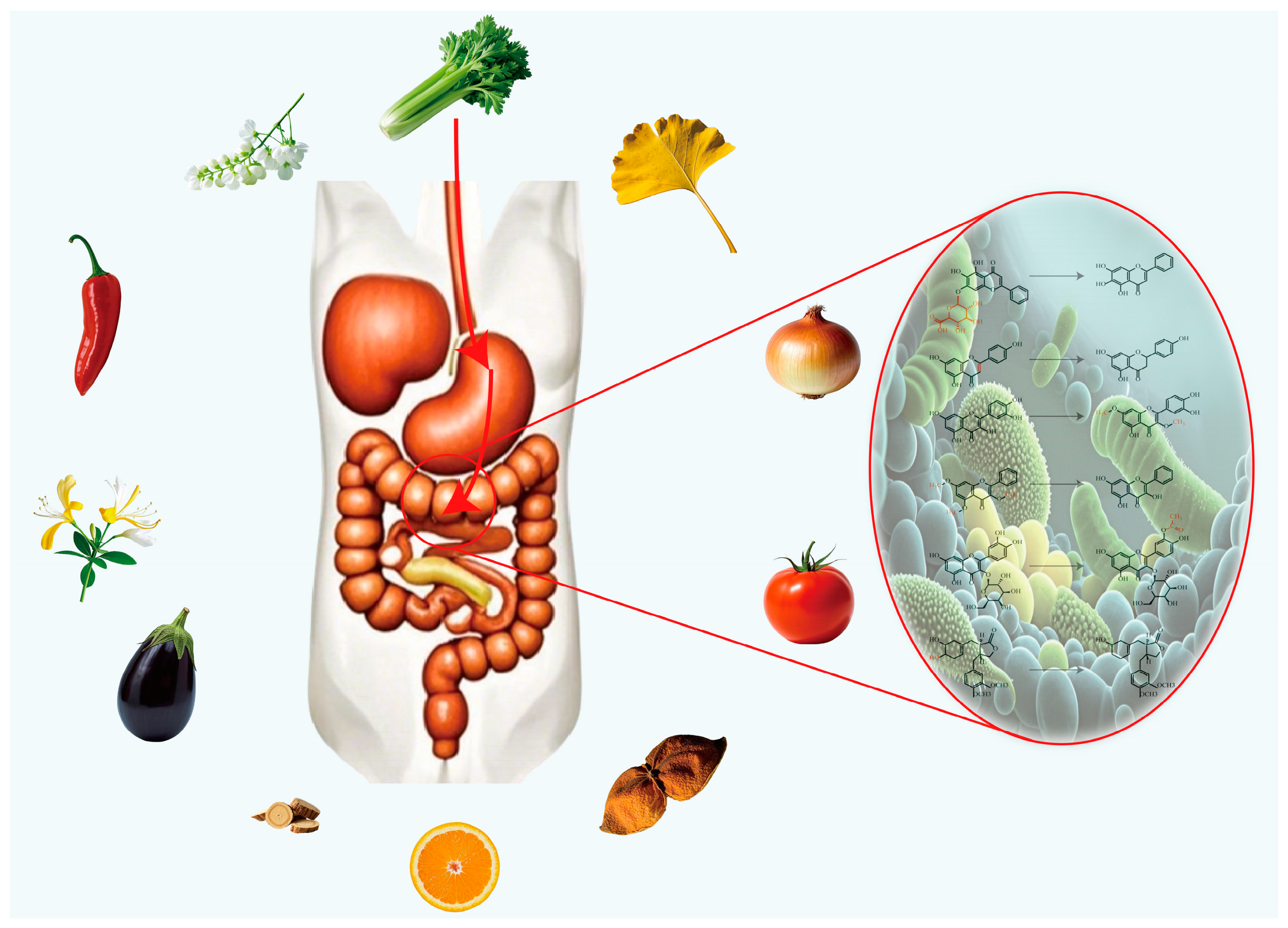 Molecules 30 01184 g004
