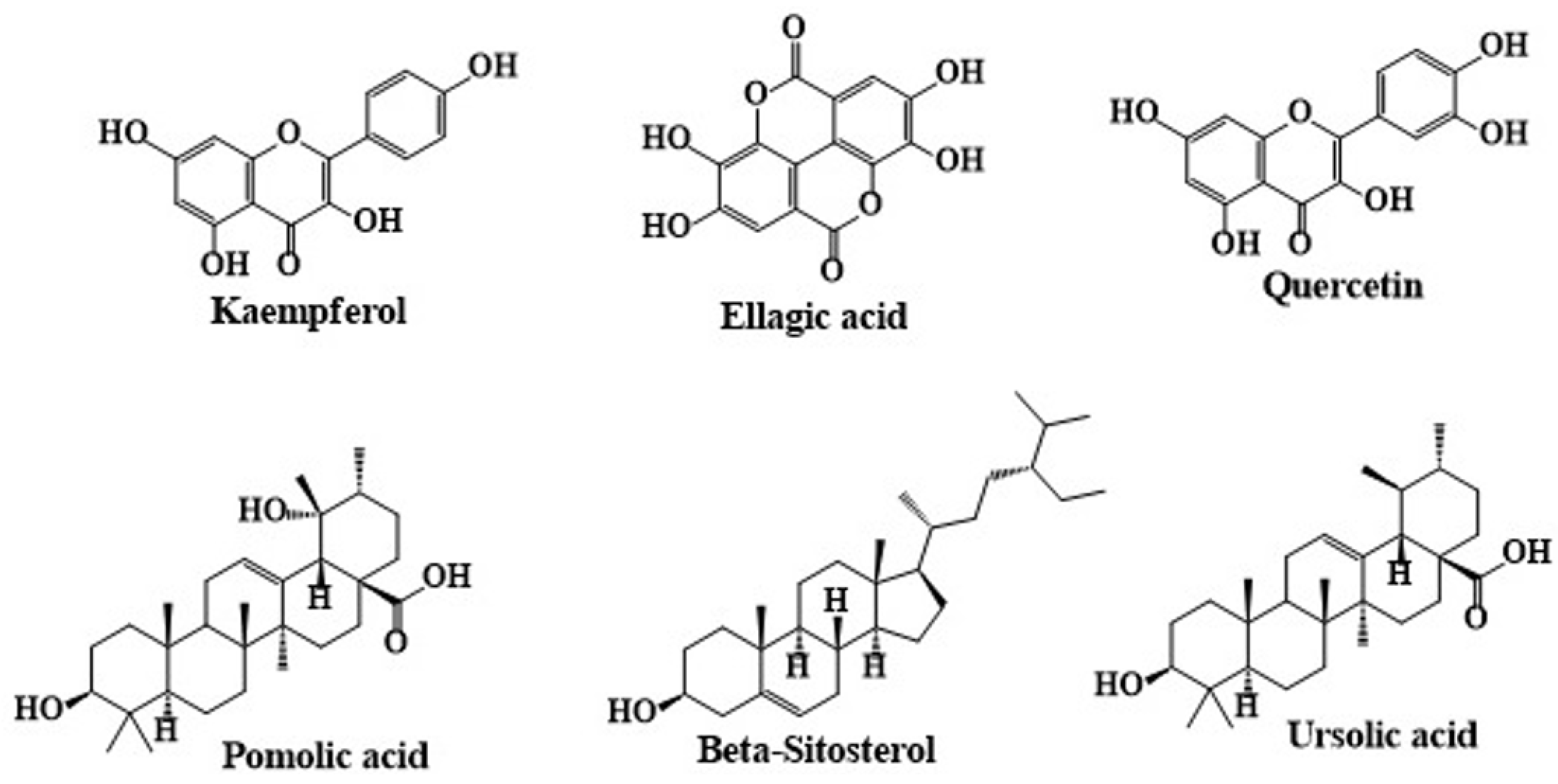 Molecules 30 01186 g006 Molecules 30 01186 g006