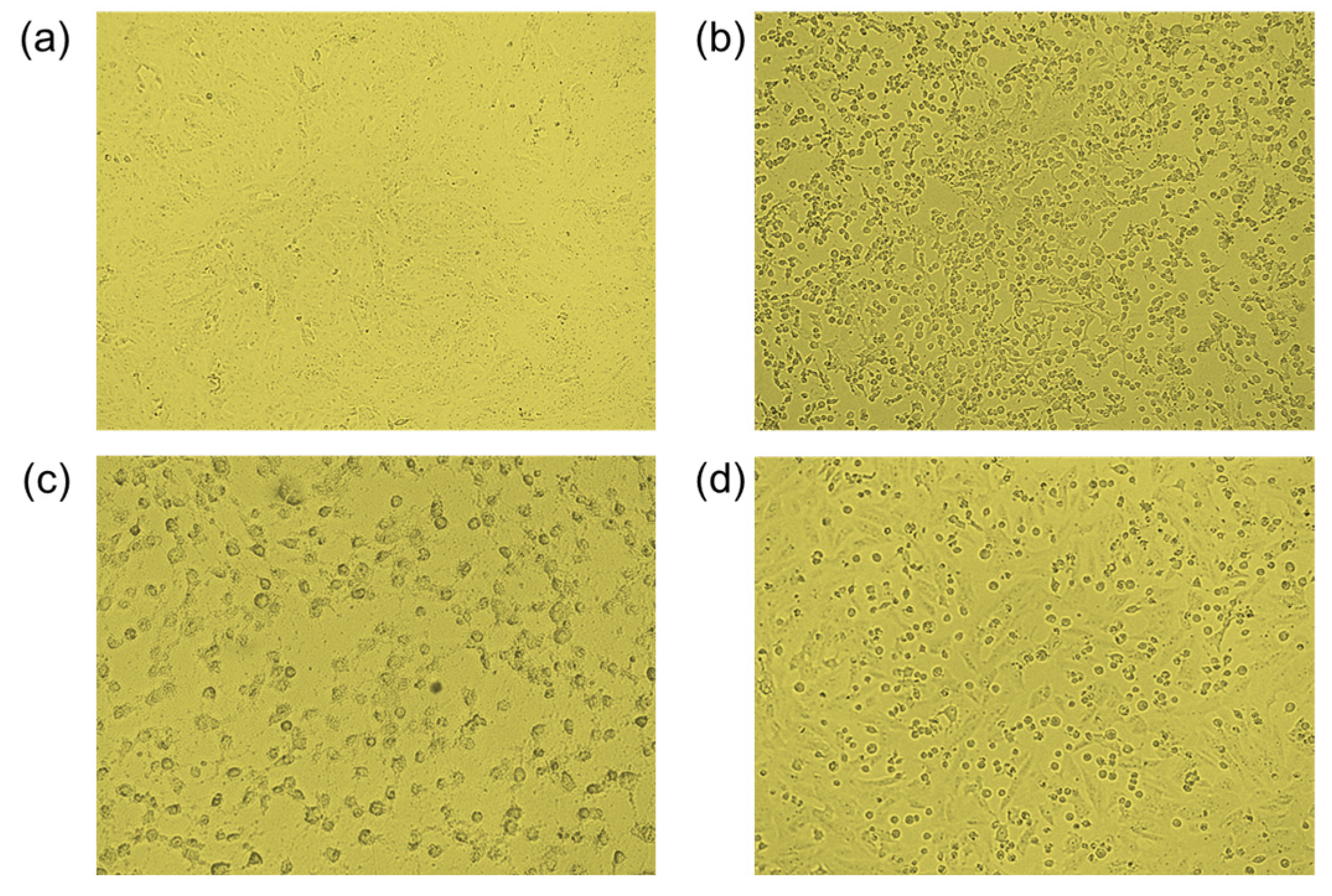 Molecules 30 01197 g006