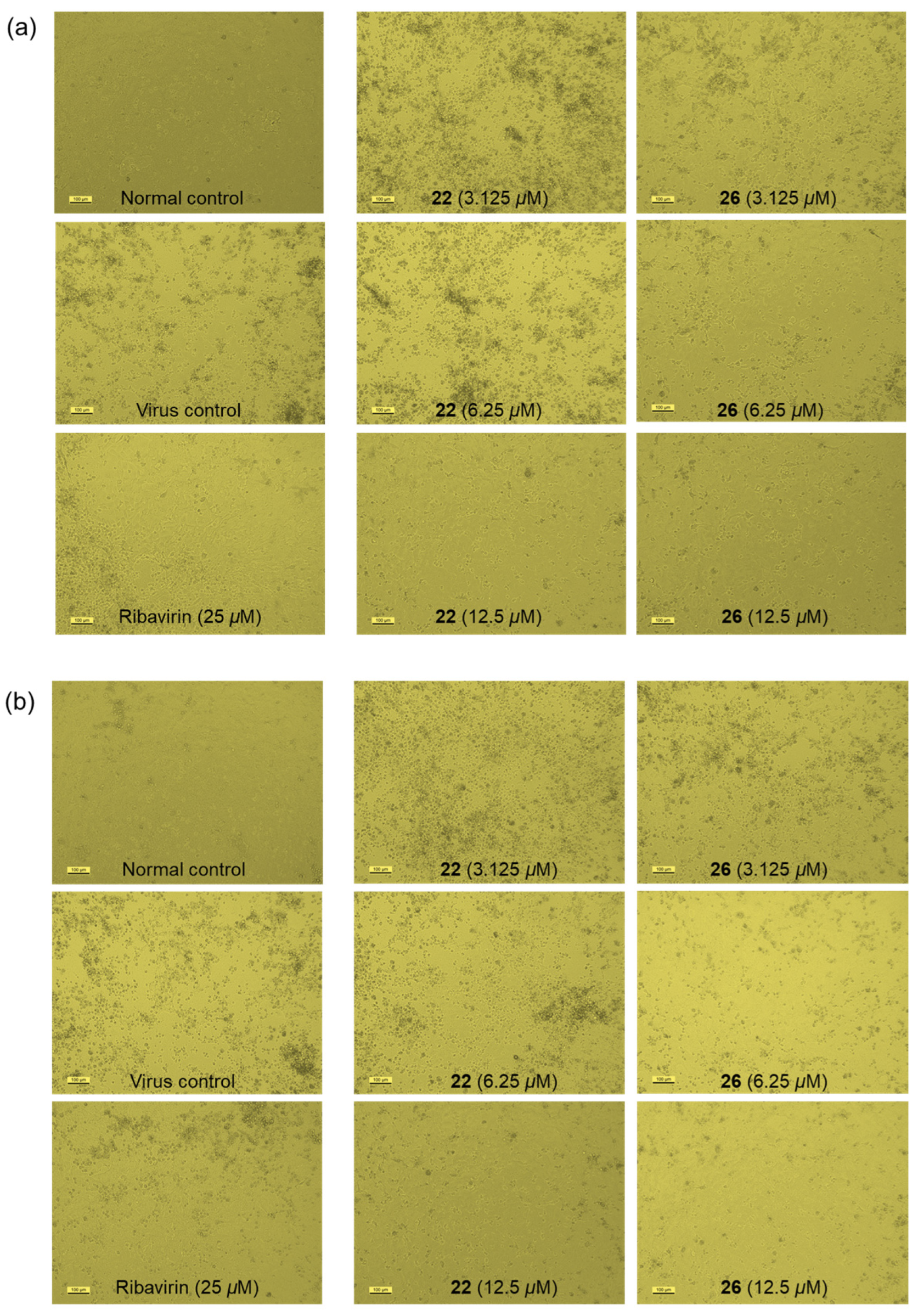 Molecules 30 01197 g007