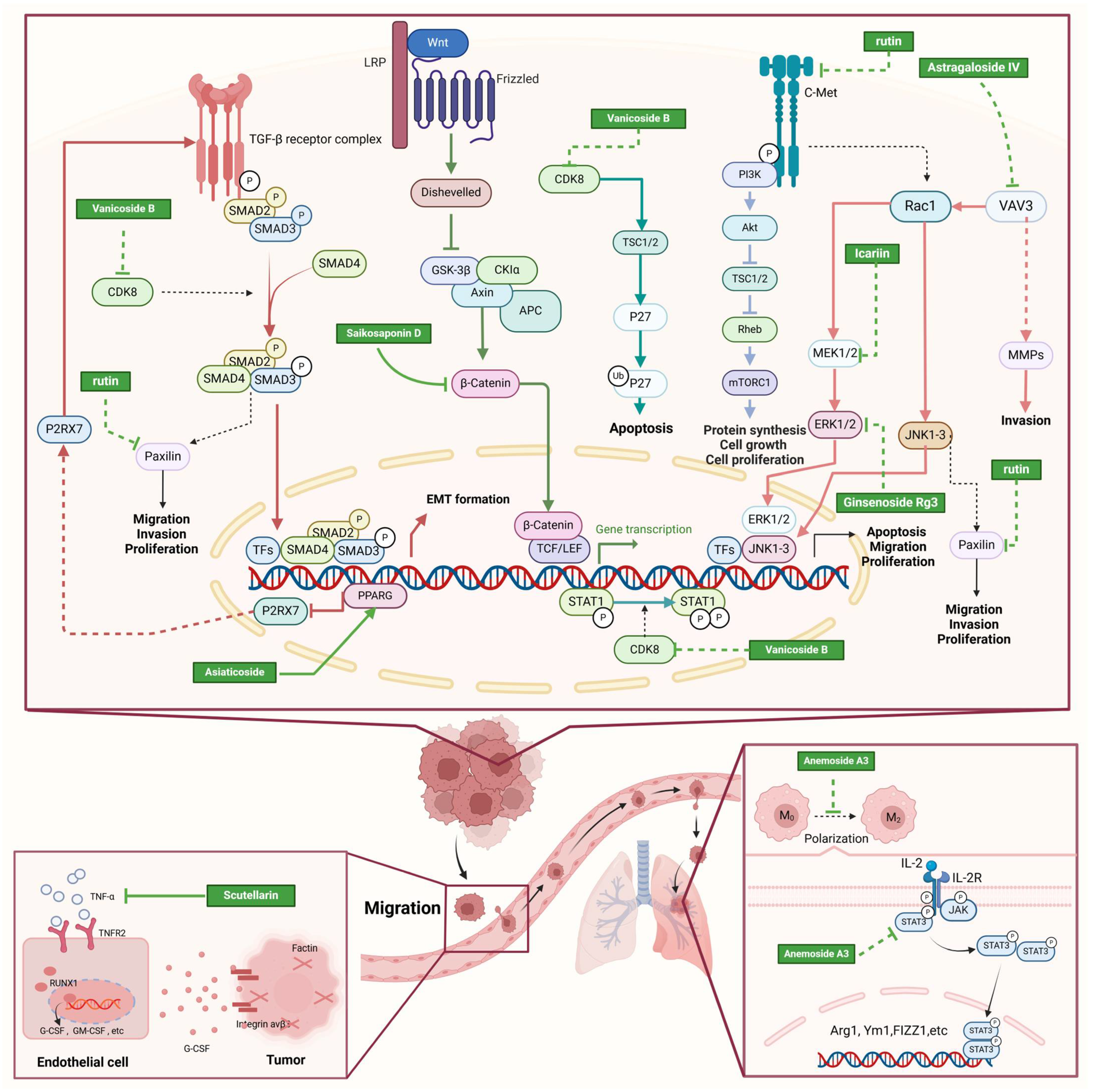 Molecules 30 01201 g002