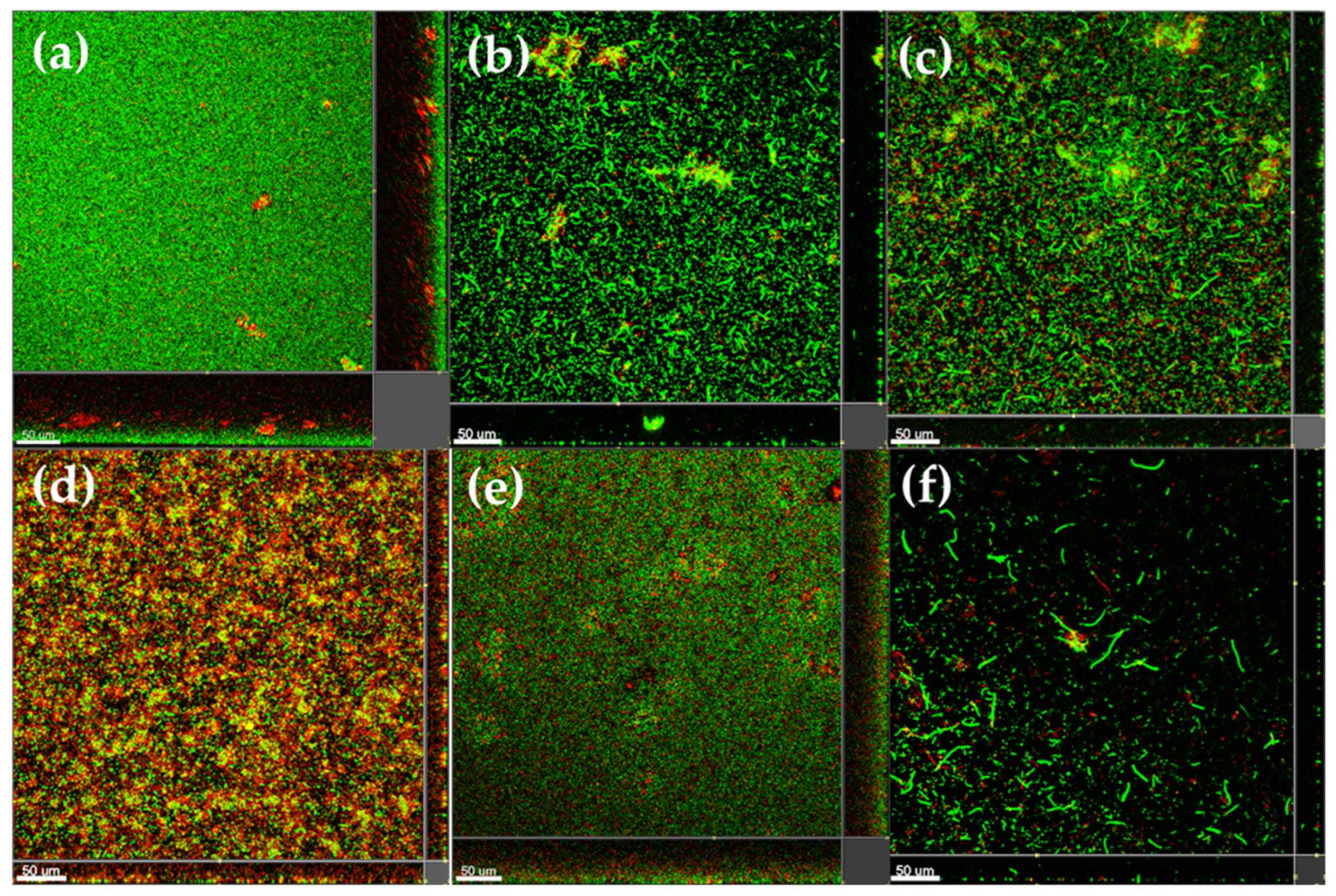 Molecules 30 01202 g004
