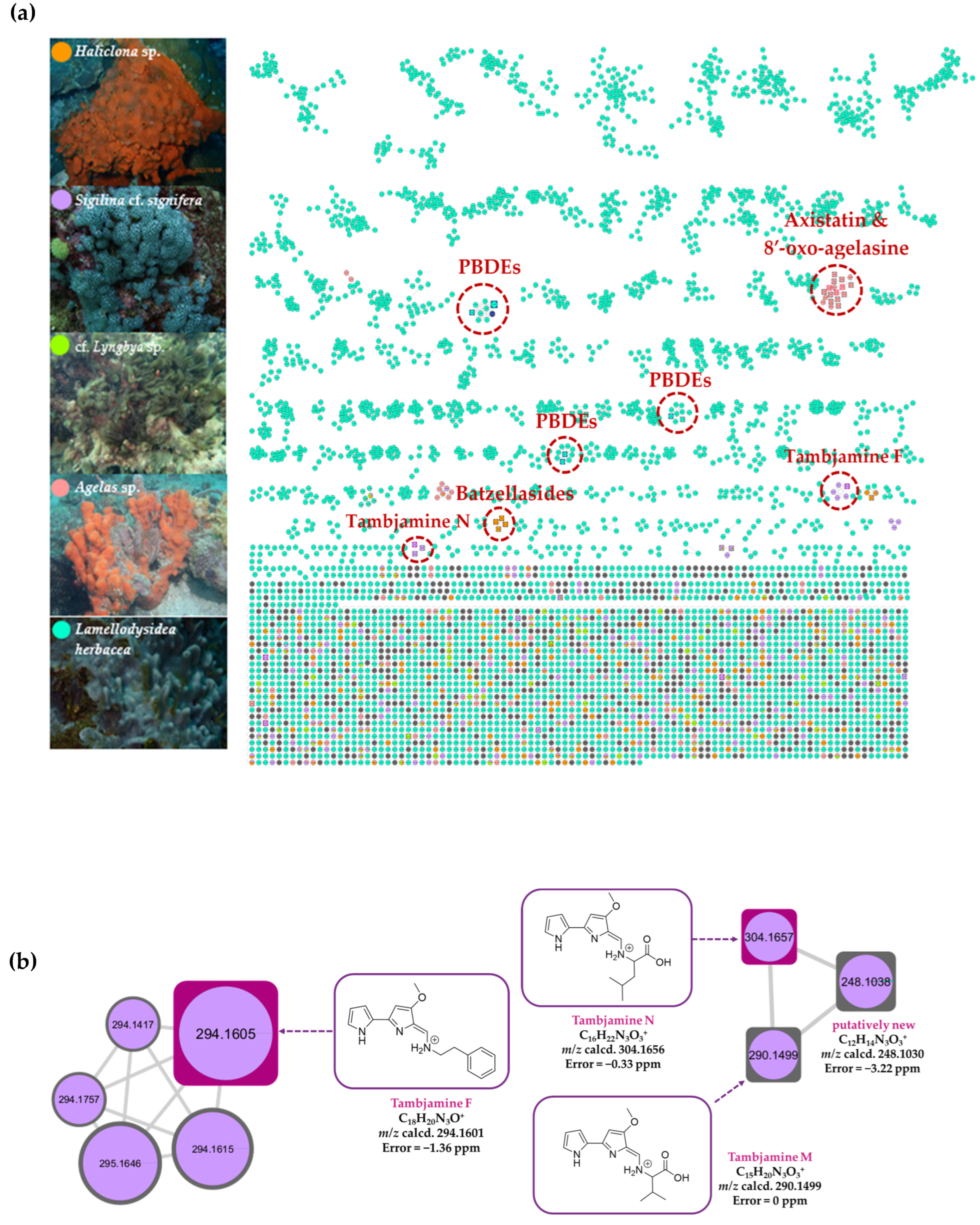 Molecules 30 01202 g008a
