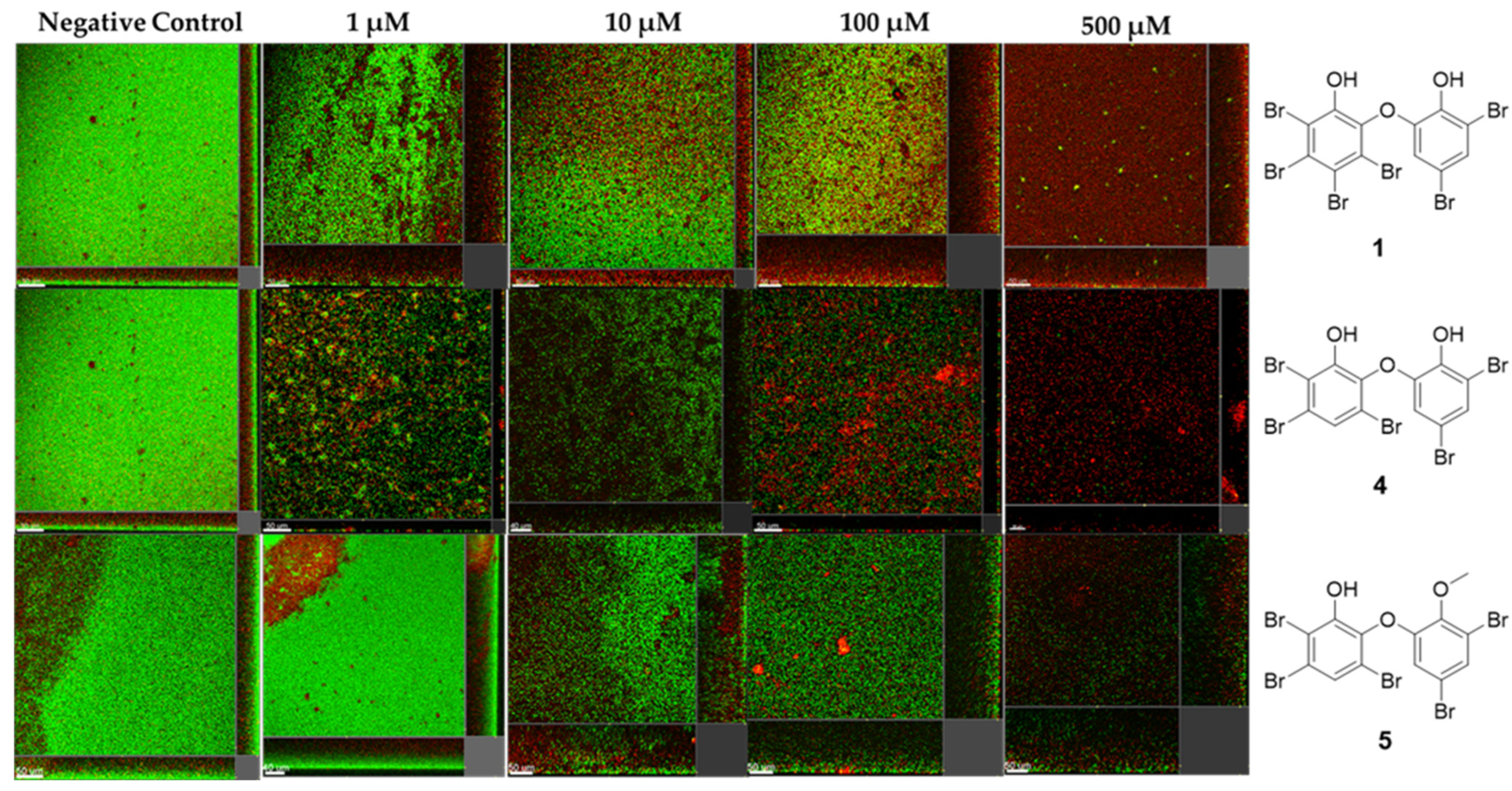 Molecules 30 01202 g010