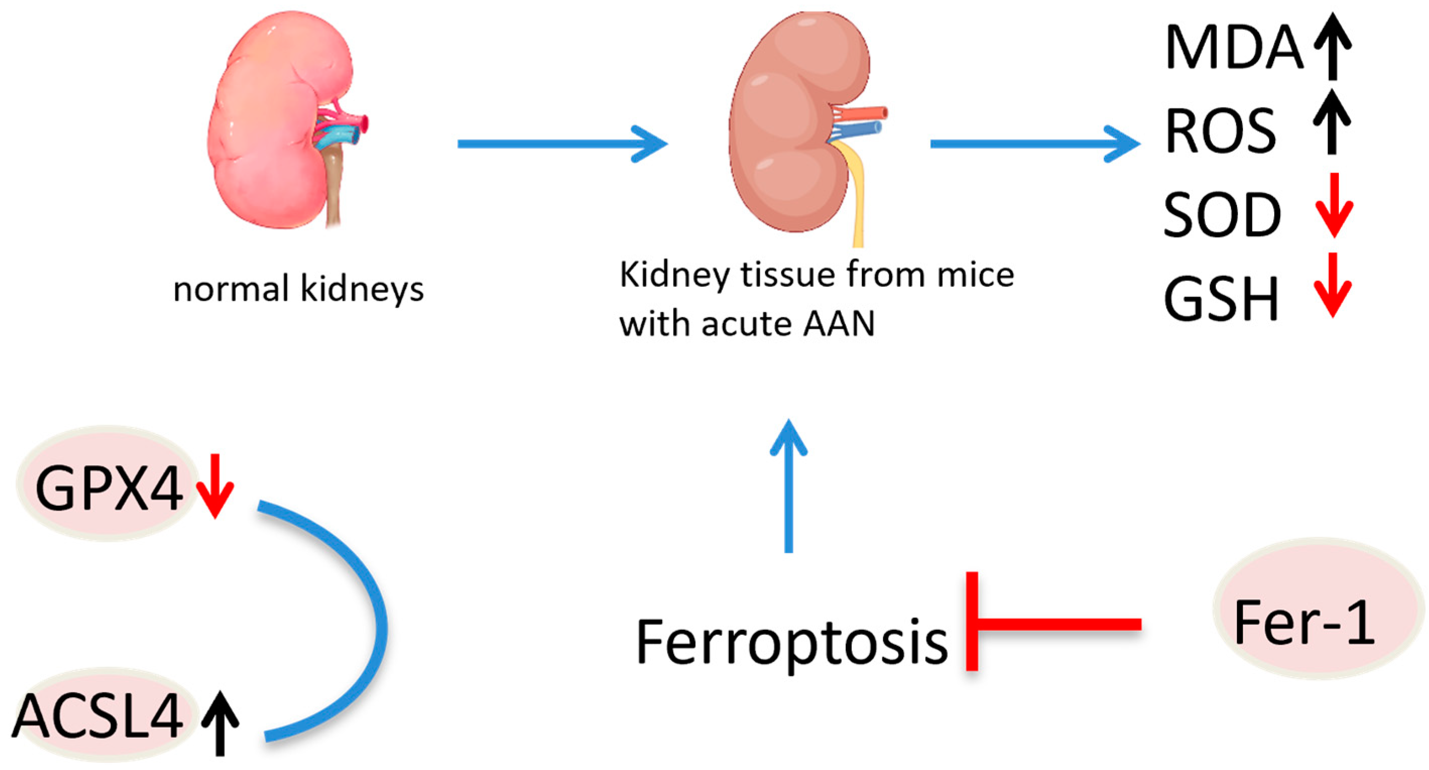 Molecules 30 01204 g025
