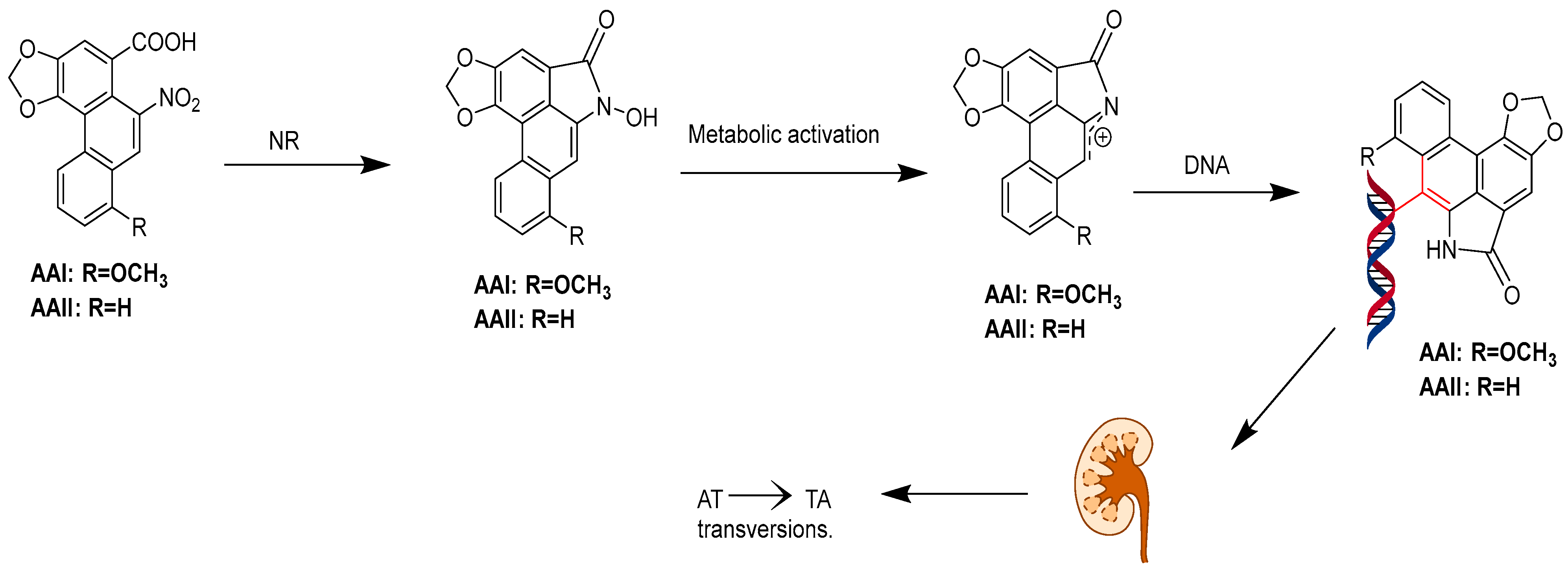 Molecules 30 01204 g027