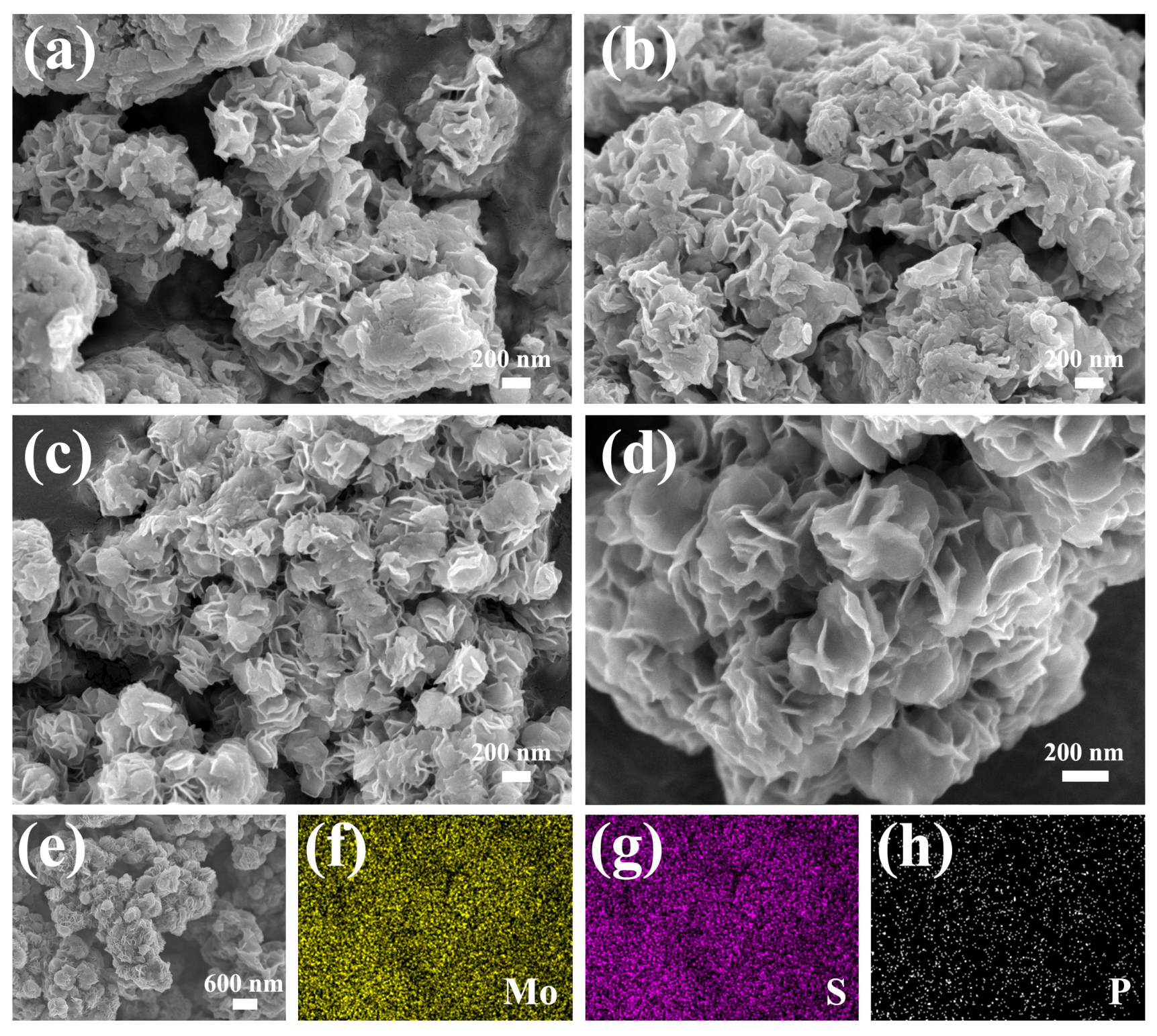 Molecules 30 01205 g003