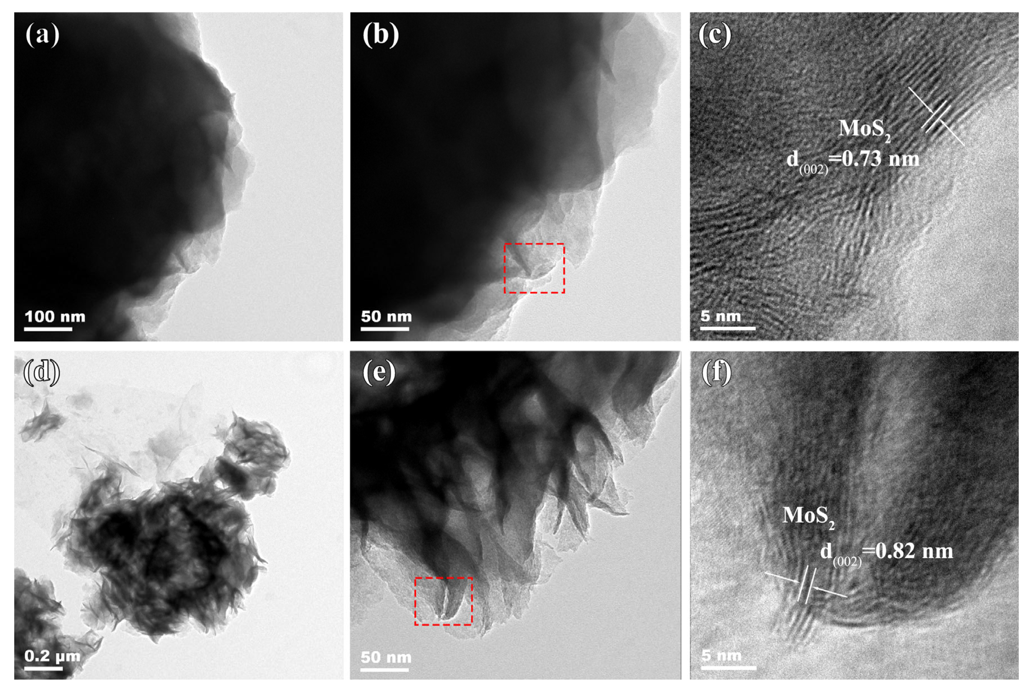 Molecules 30 01205 g004