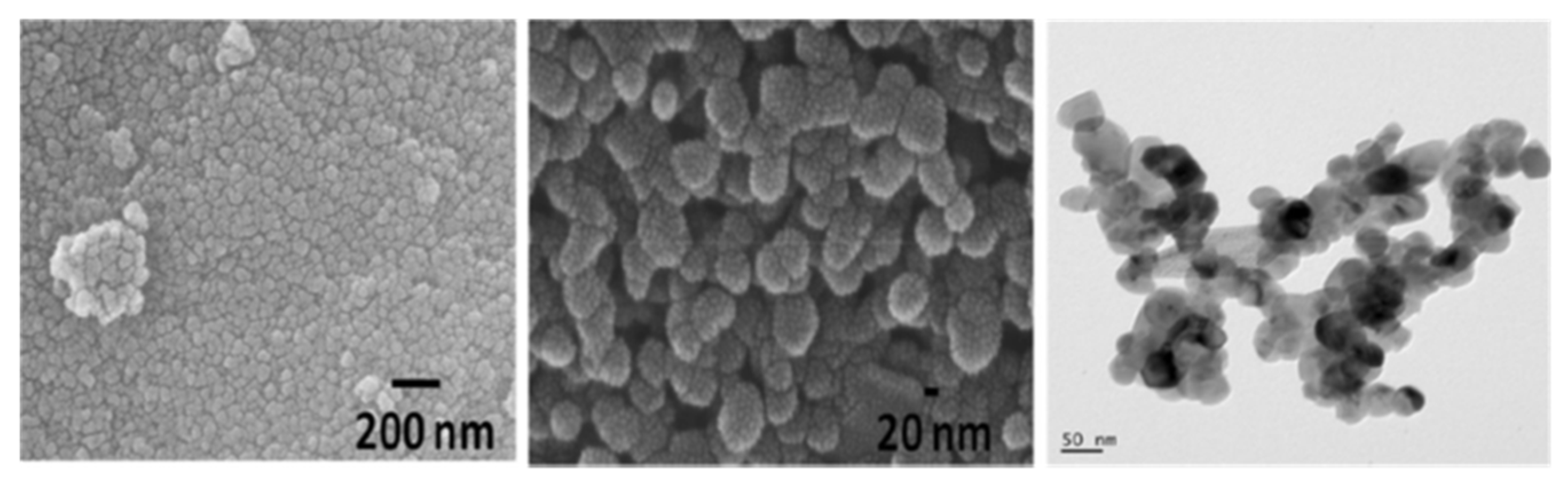 Molecules 30 01212 g002 Molecules 30 01212 g002