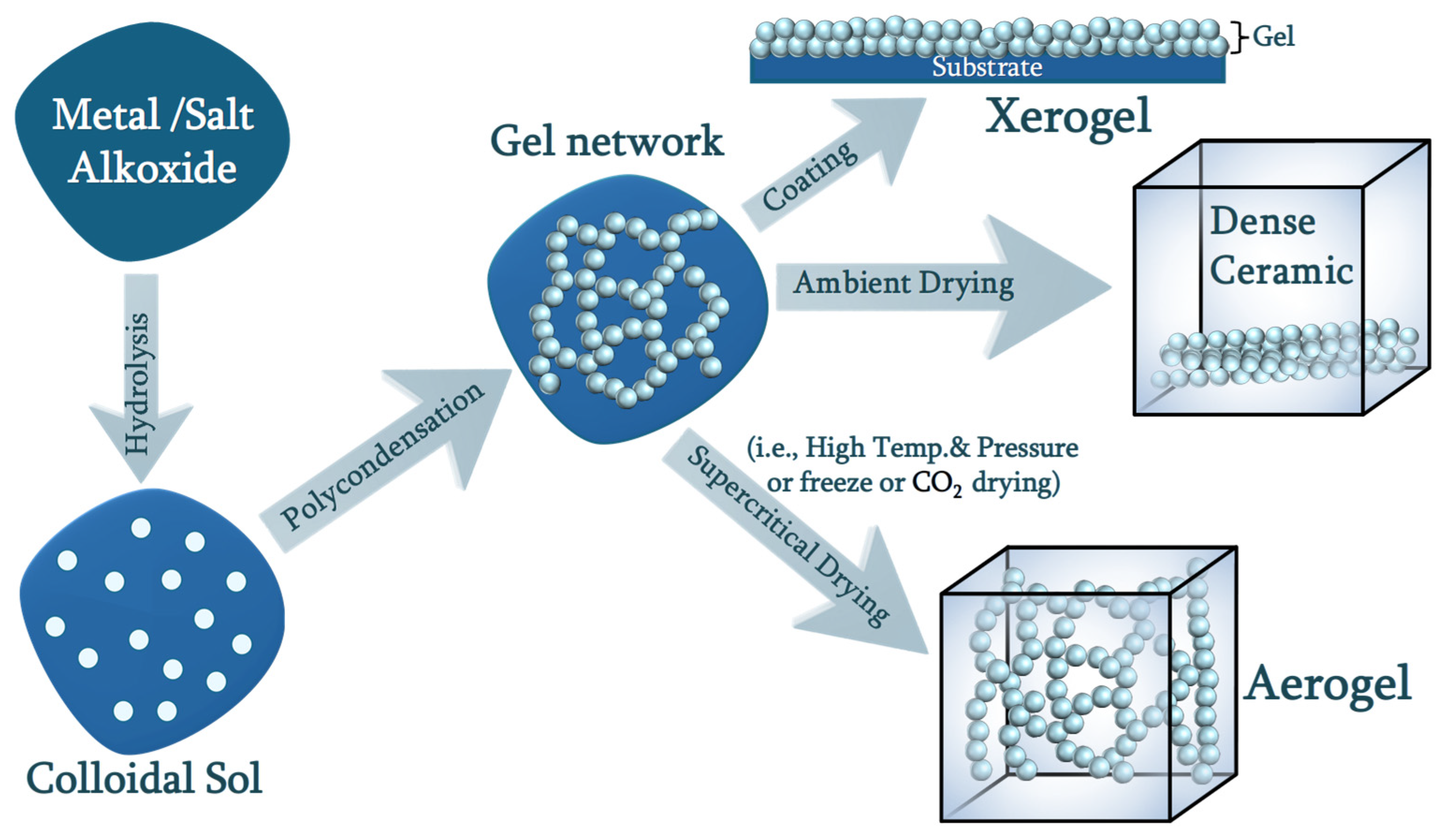 Molecules 30 01212 g005 Molecules 30 01212 g005