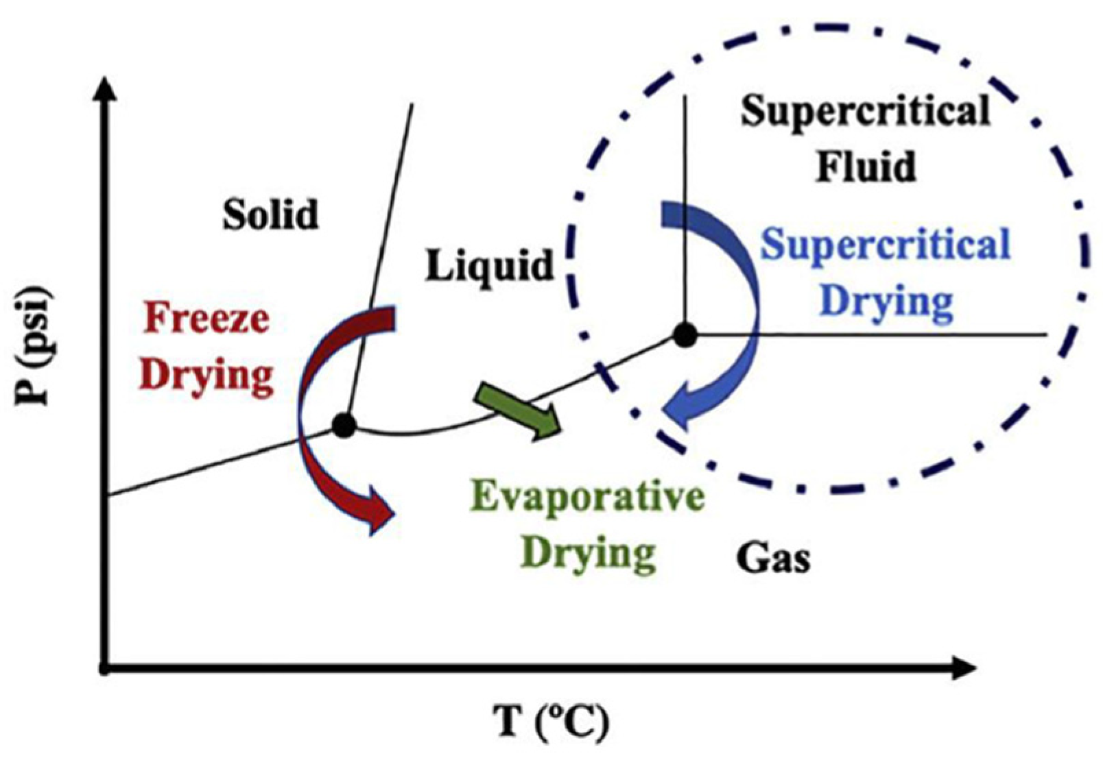 Molecules 30 01212 g006 Molecules 30 01212 g006