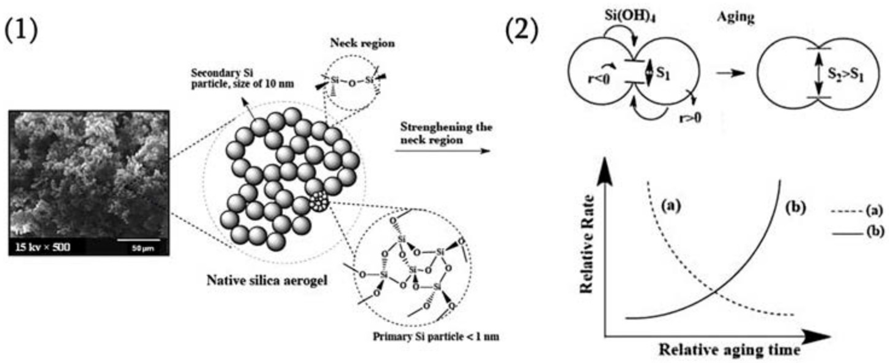 Molecules 30 01212 g009 Molecules 30 01212 g009