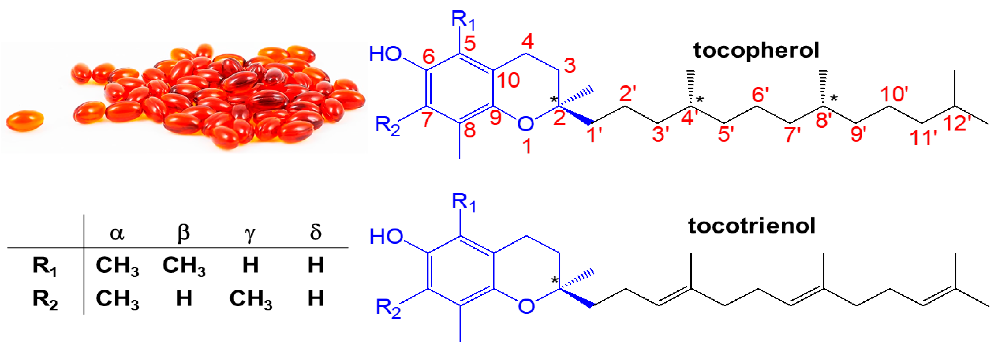 Molecules 30 01217 g001