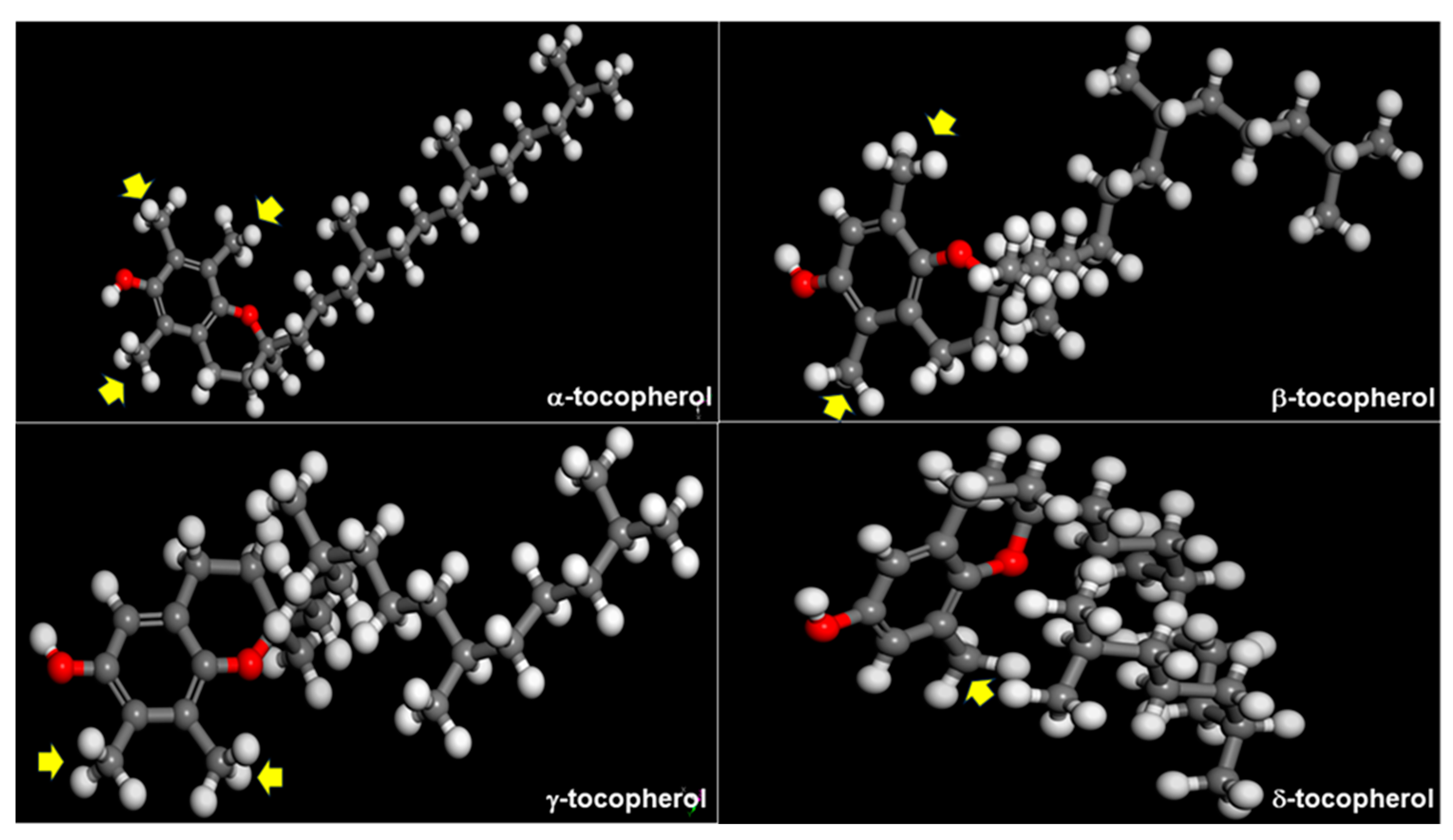 Molecules 30 01217 g008