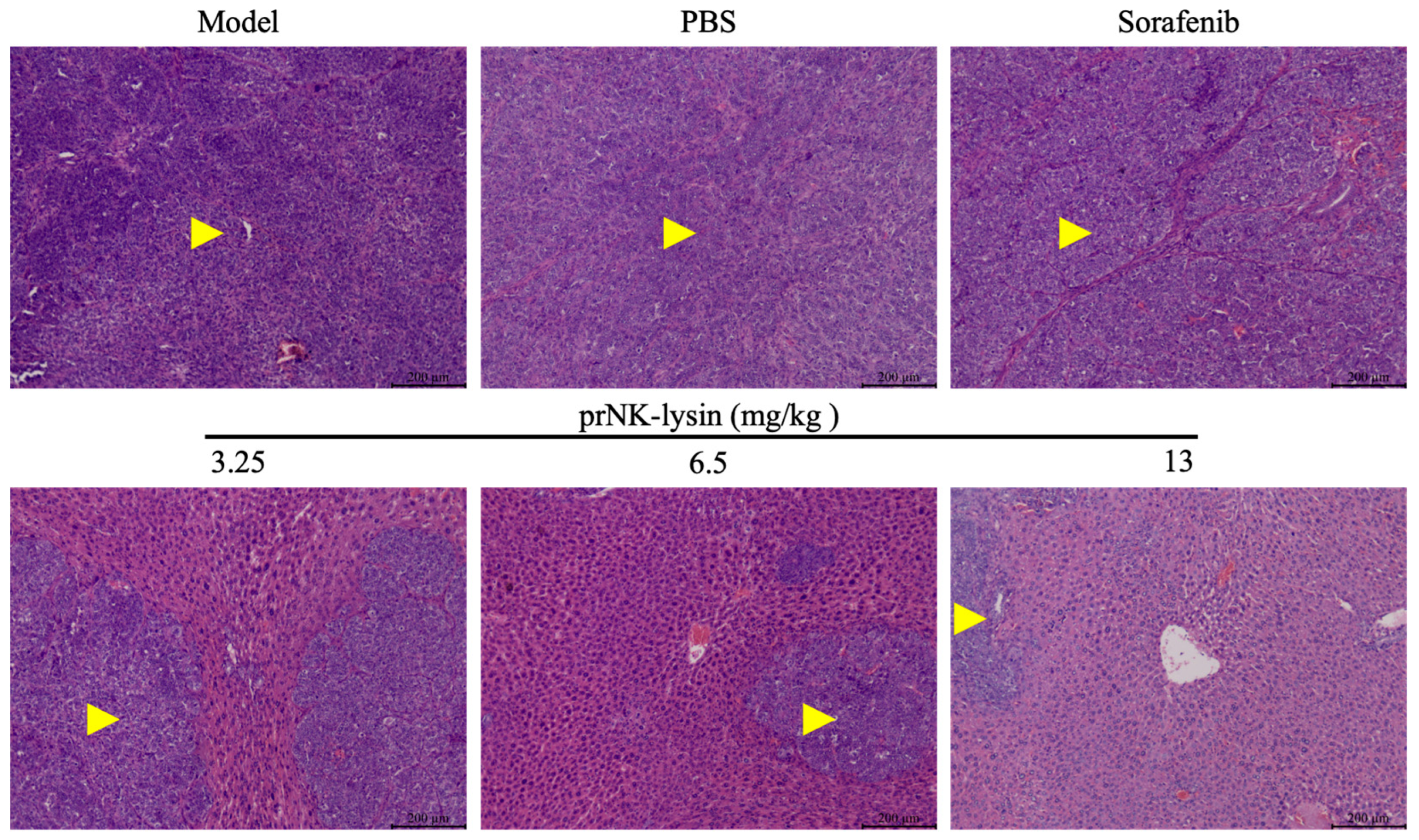 Molecules 30 01234 g013