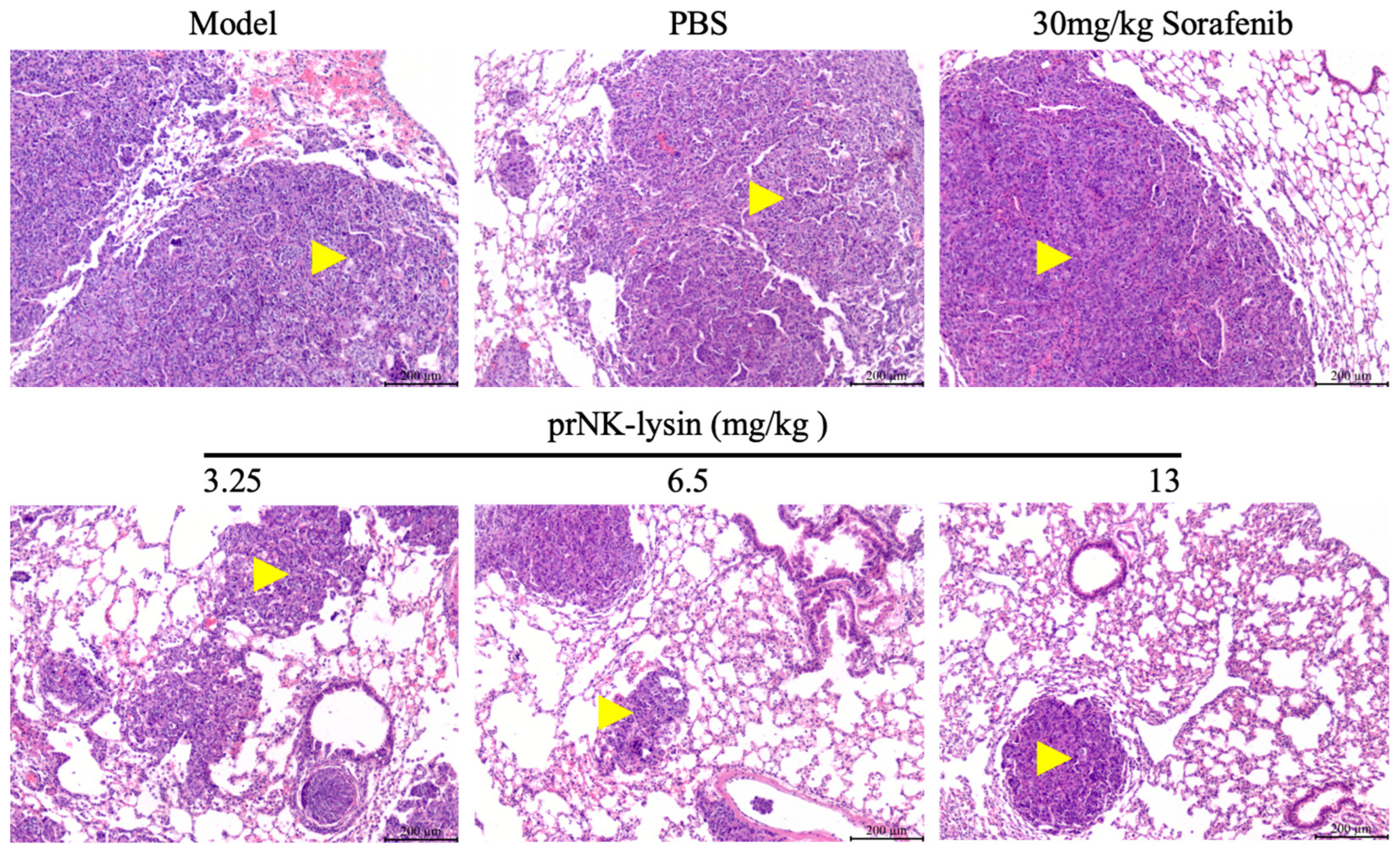 Molecules 30 01234 g016