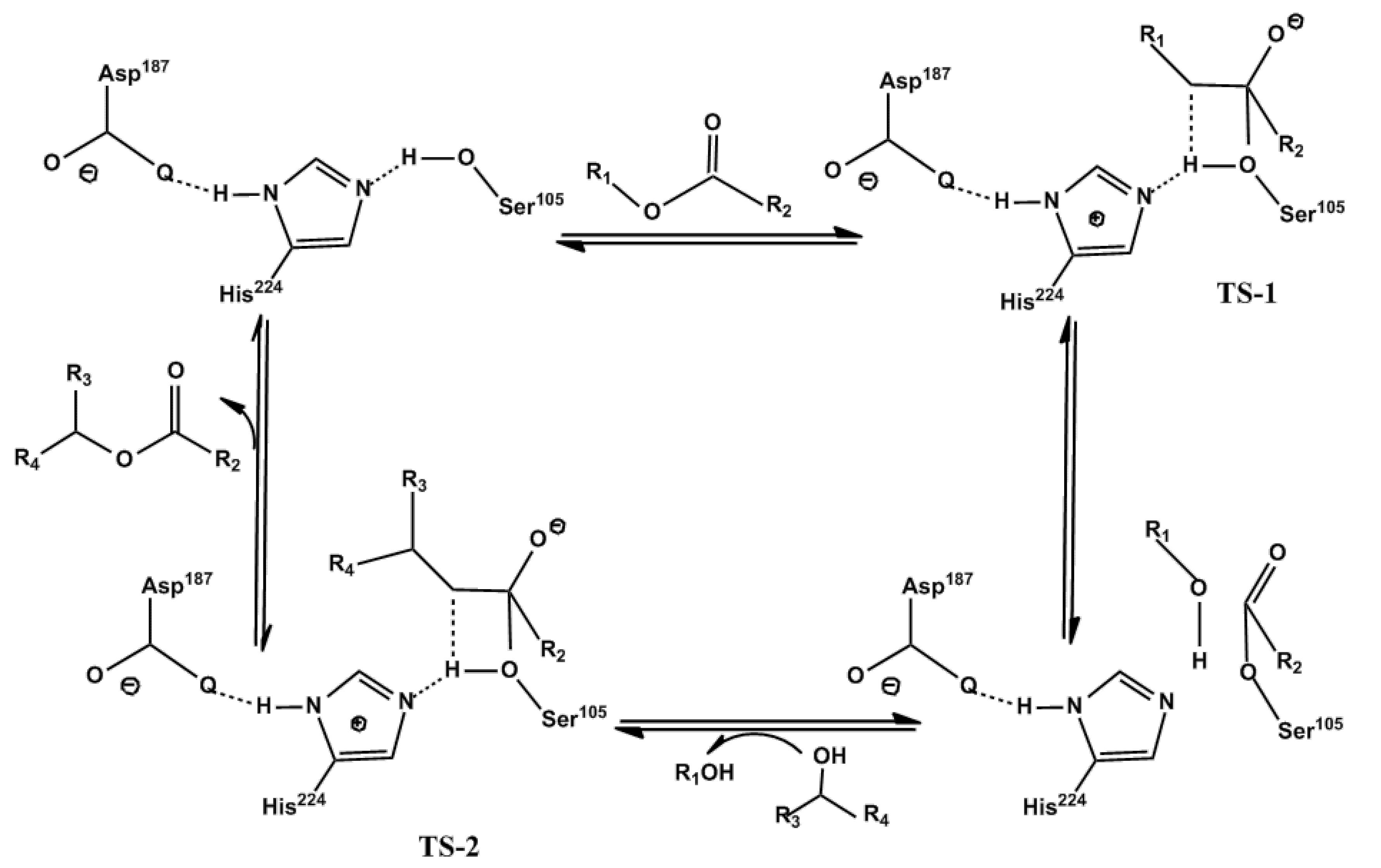 Molecules 30 01241 g001