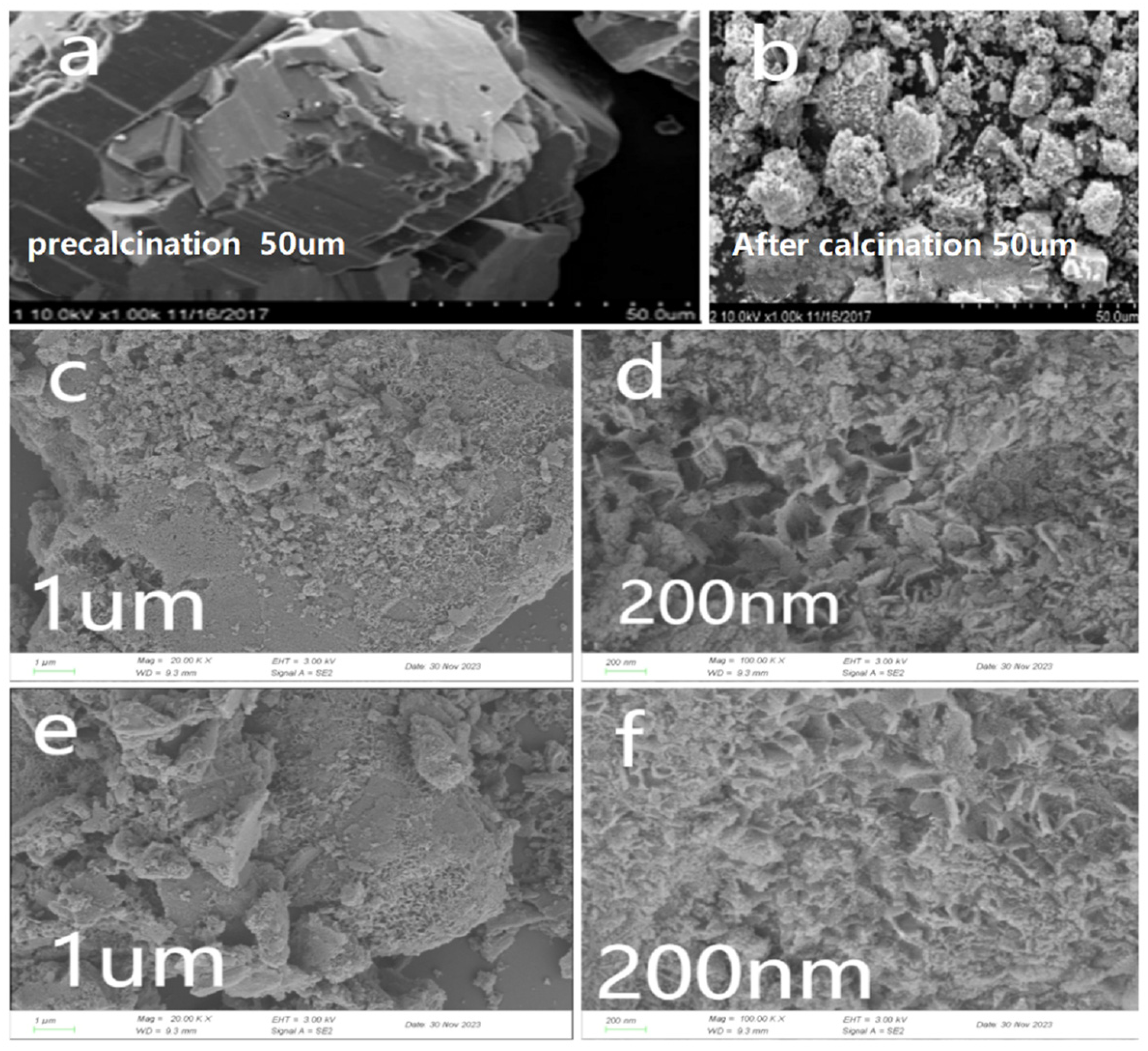 Molecules 30 01242 g002