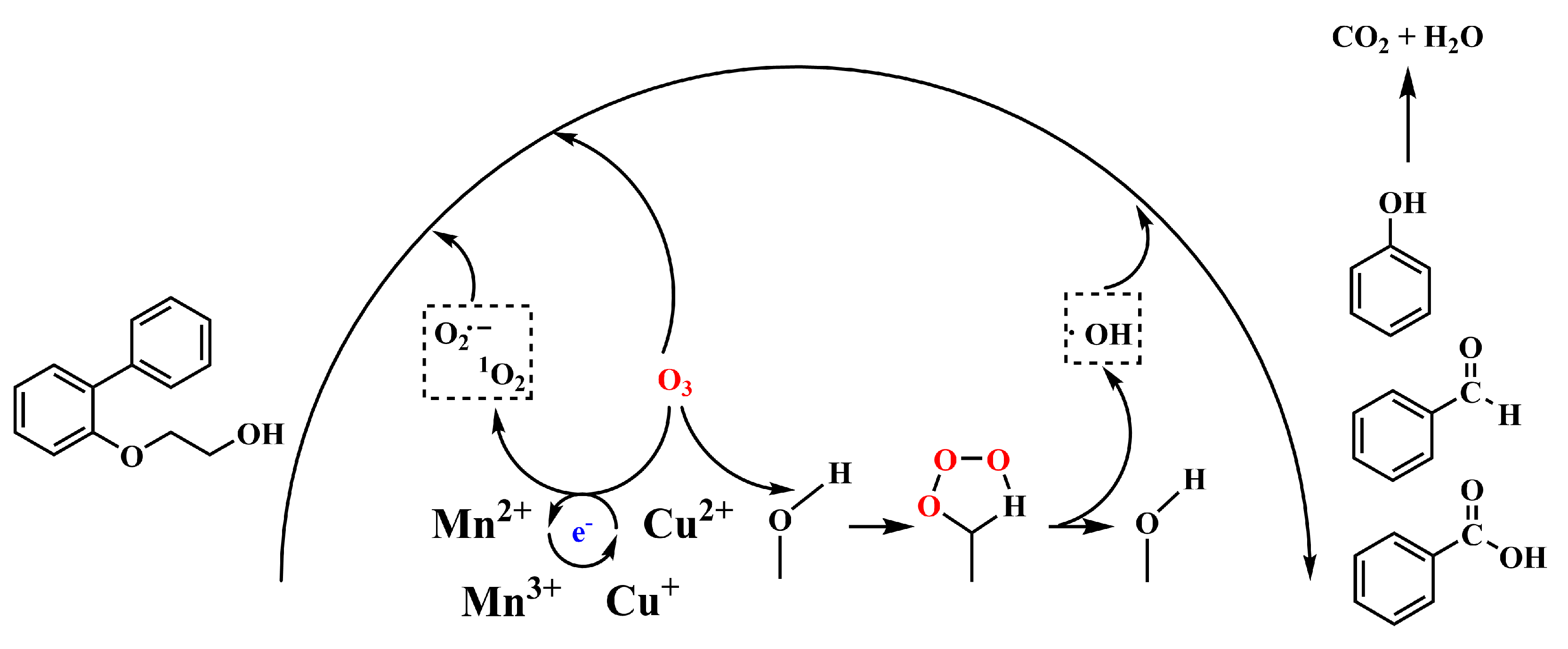 Molecules 30 01242 g008