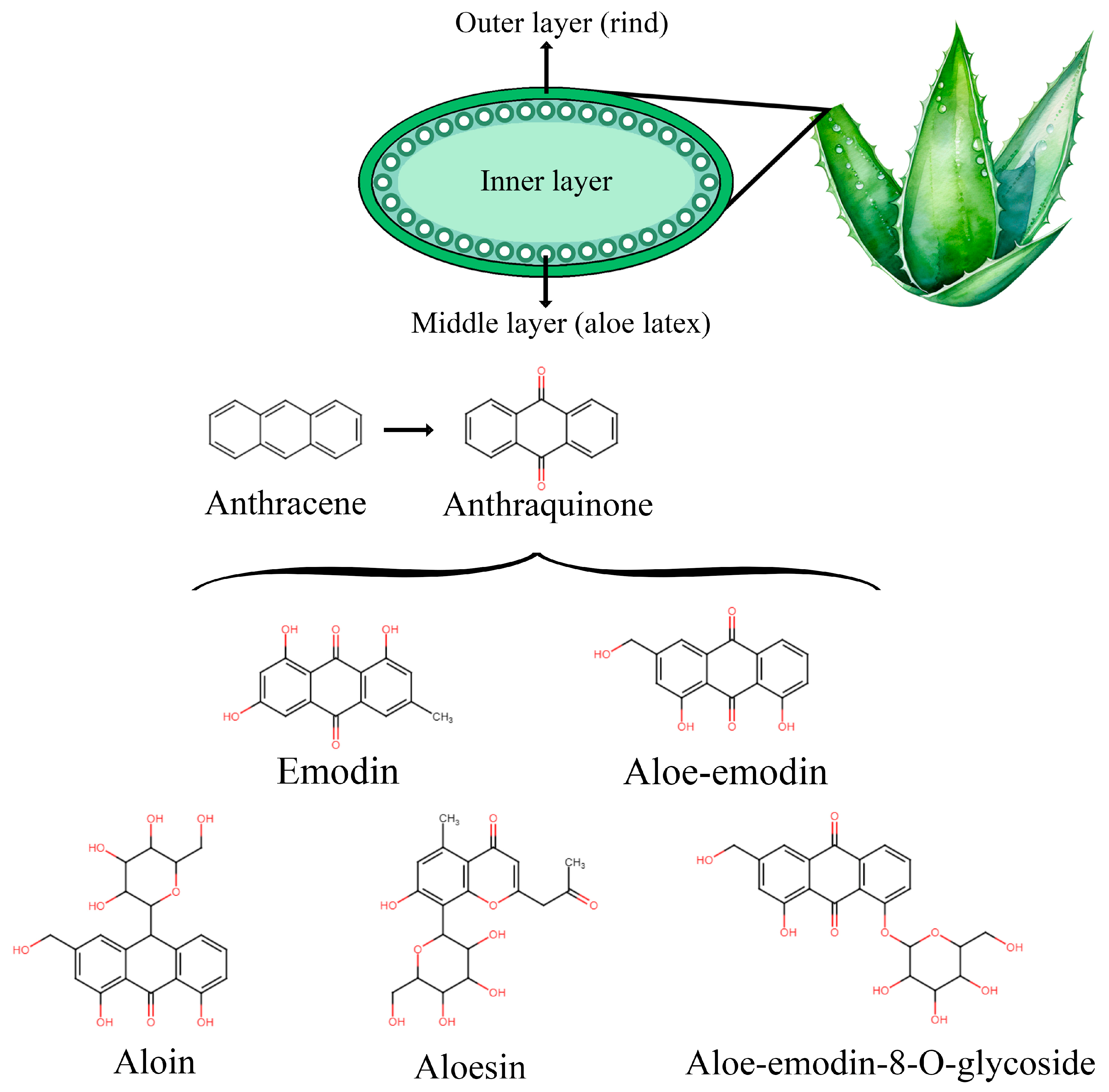 Molecules 30 01251 g001