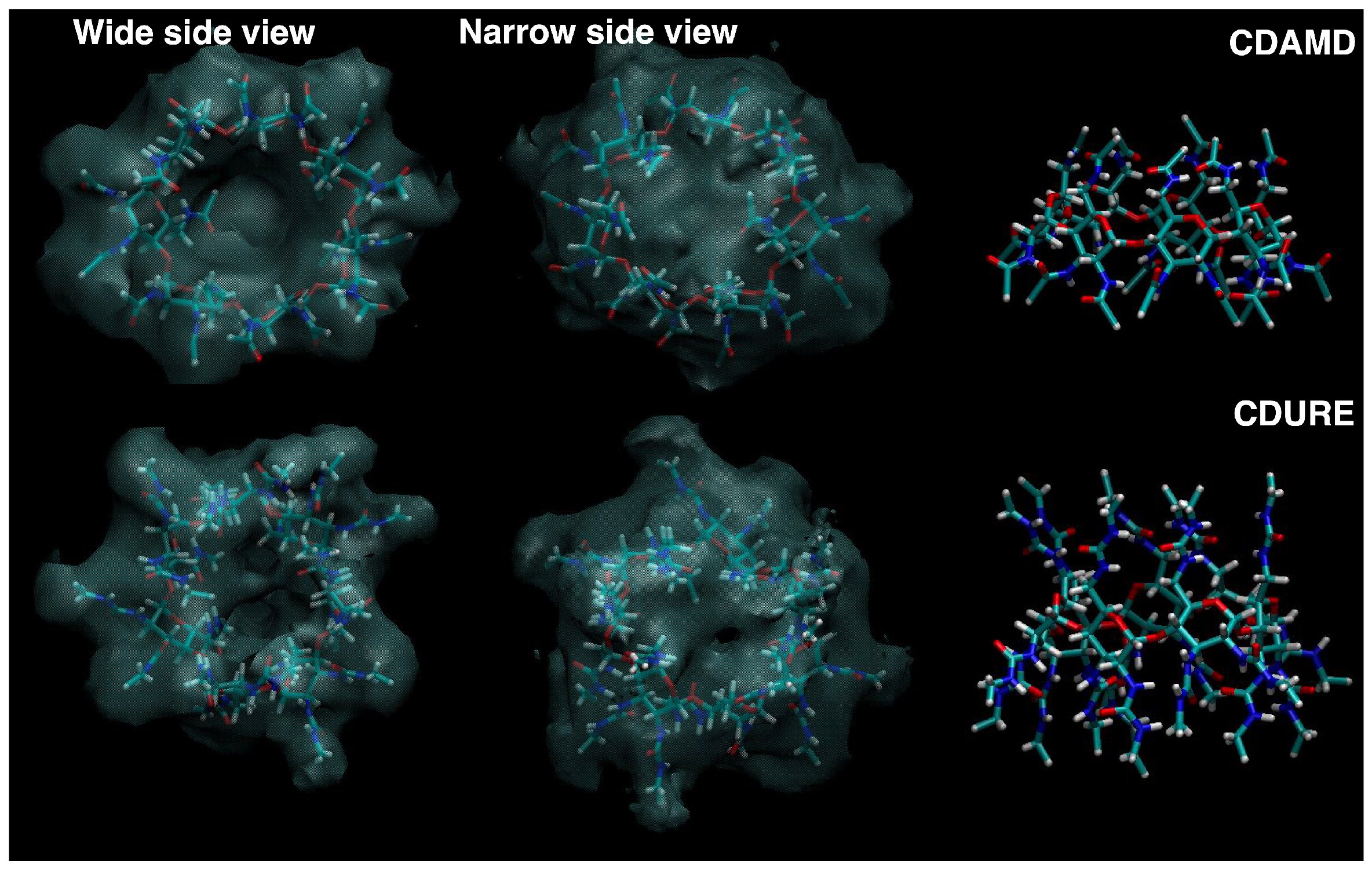 Molecules 30 01256 g009 Molecules 30 01256 g009