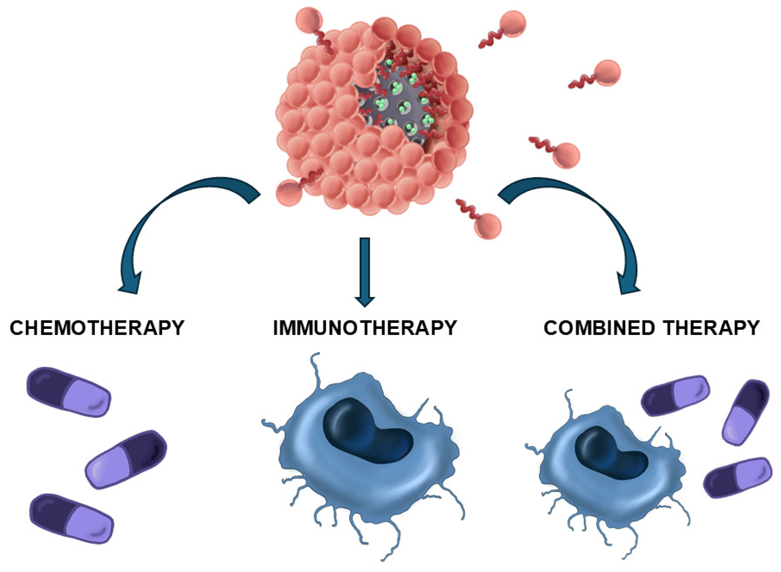 Molecules 30 01257 g001