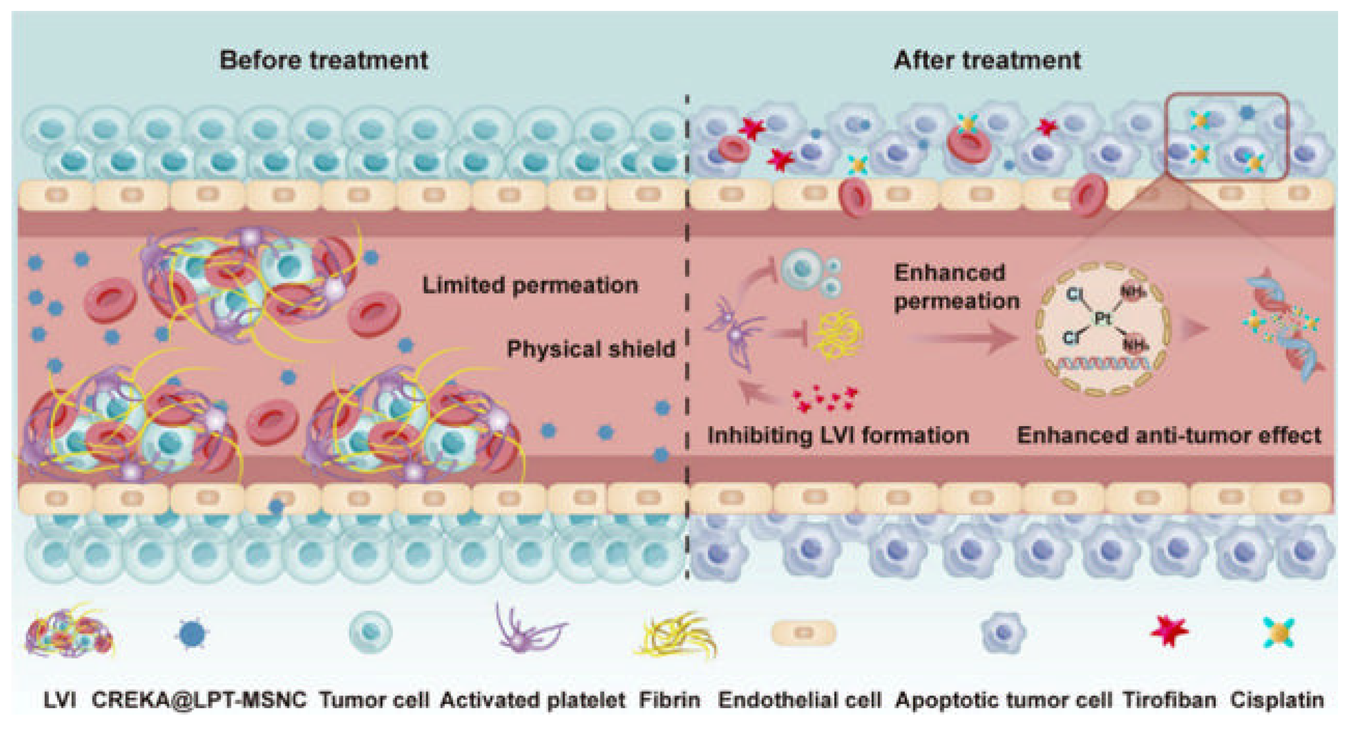 Molecules 30 01257 g002