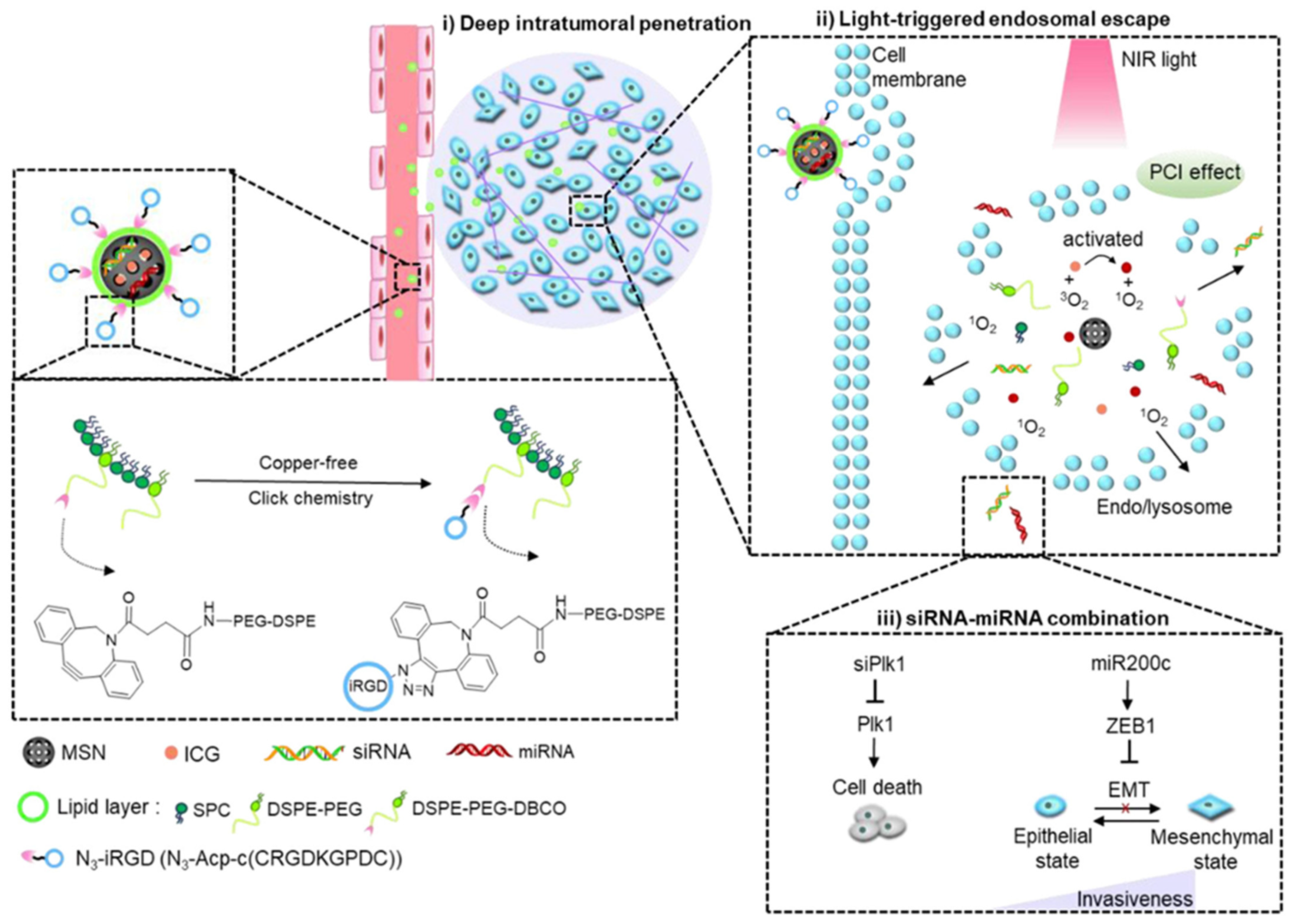 Molecules 30 01257 g008