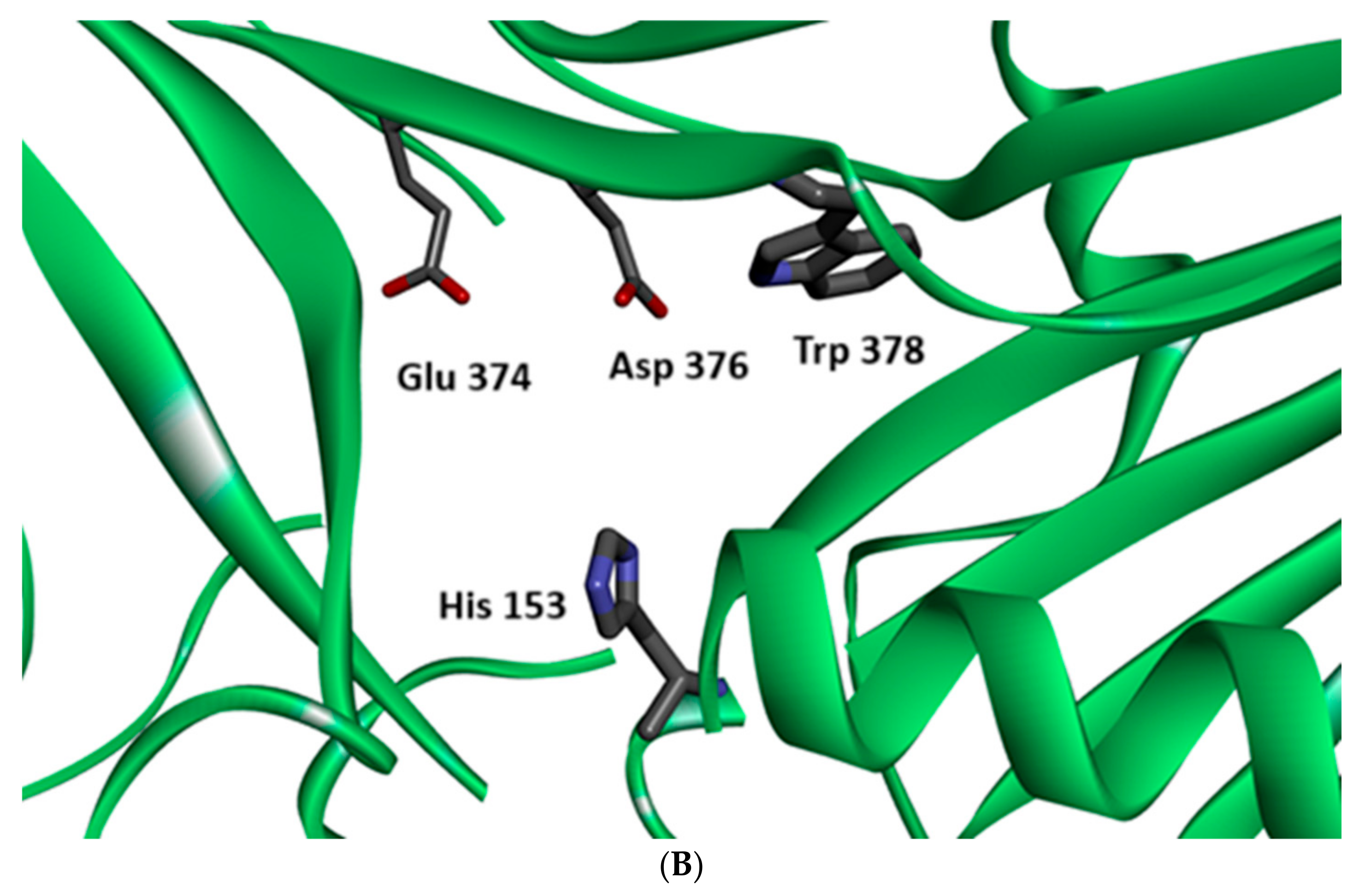 Molecules 30 01259 g002b Molecules 30 01259 g002b