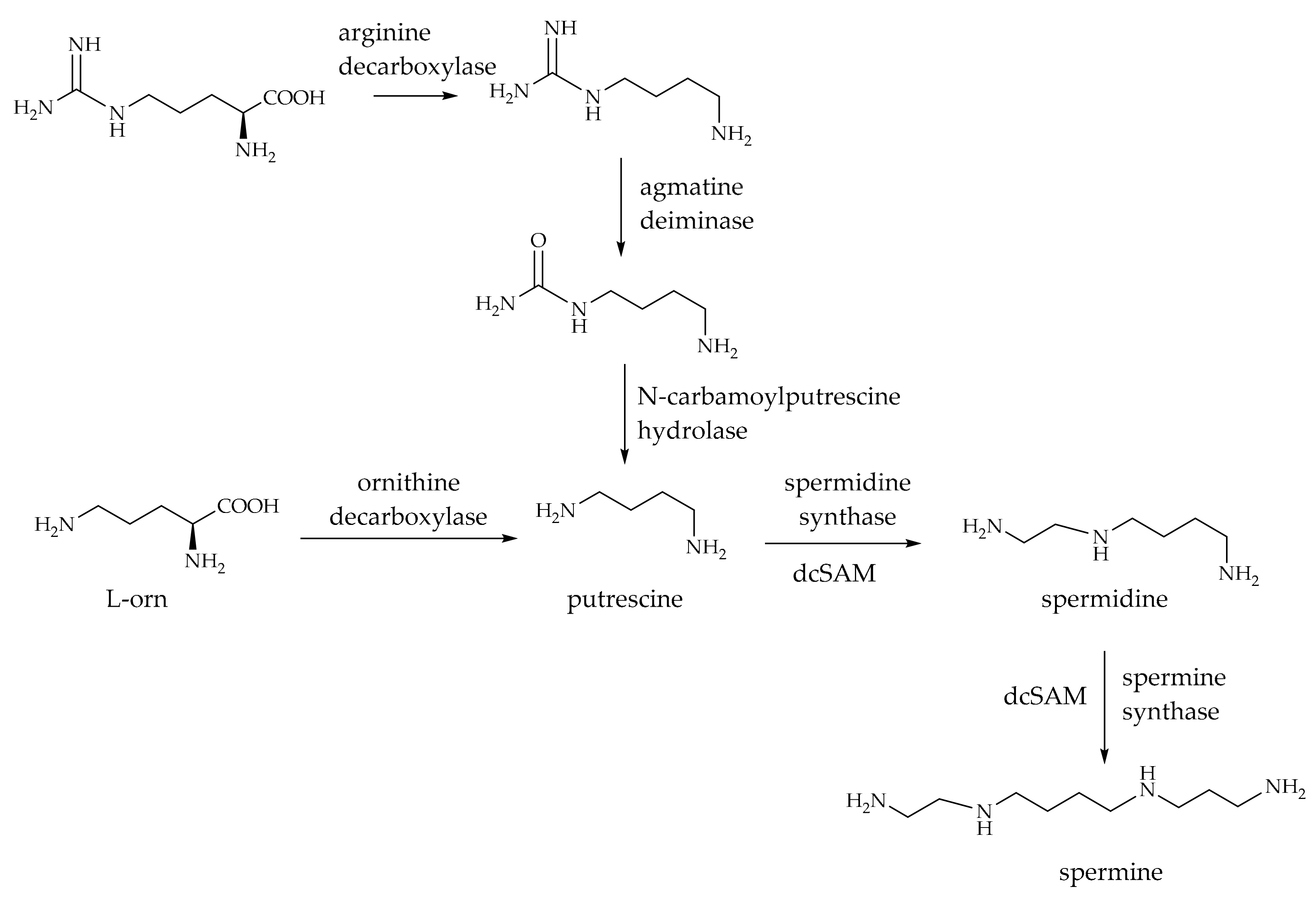 Molecules 30 01259 sch003 Molecules 30 01259 sch003
