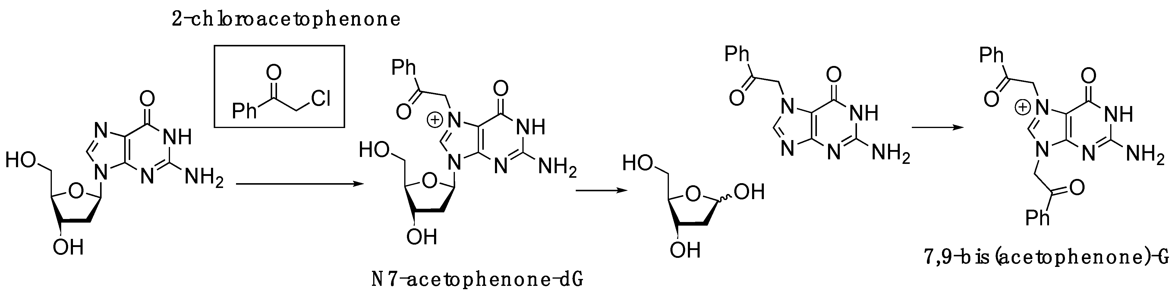 Molecules 30 01264 g001 Molecules 30 01264 g001