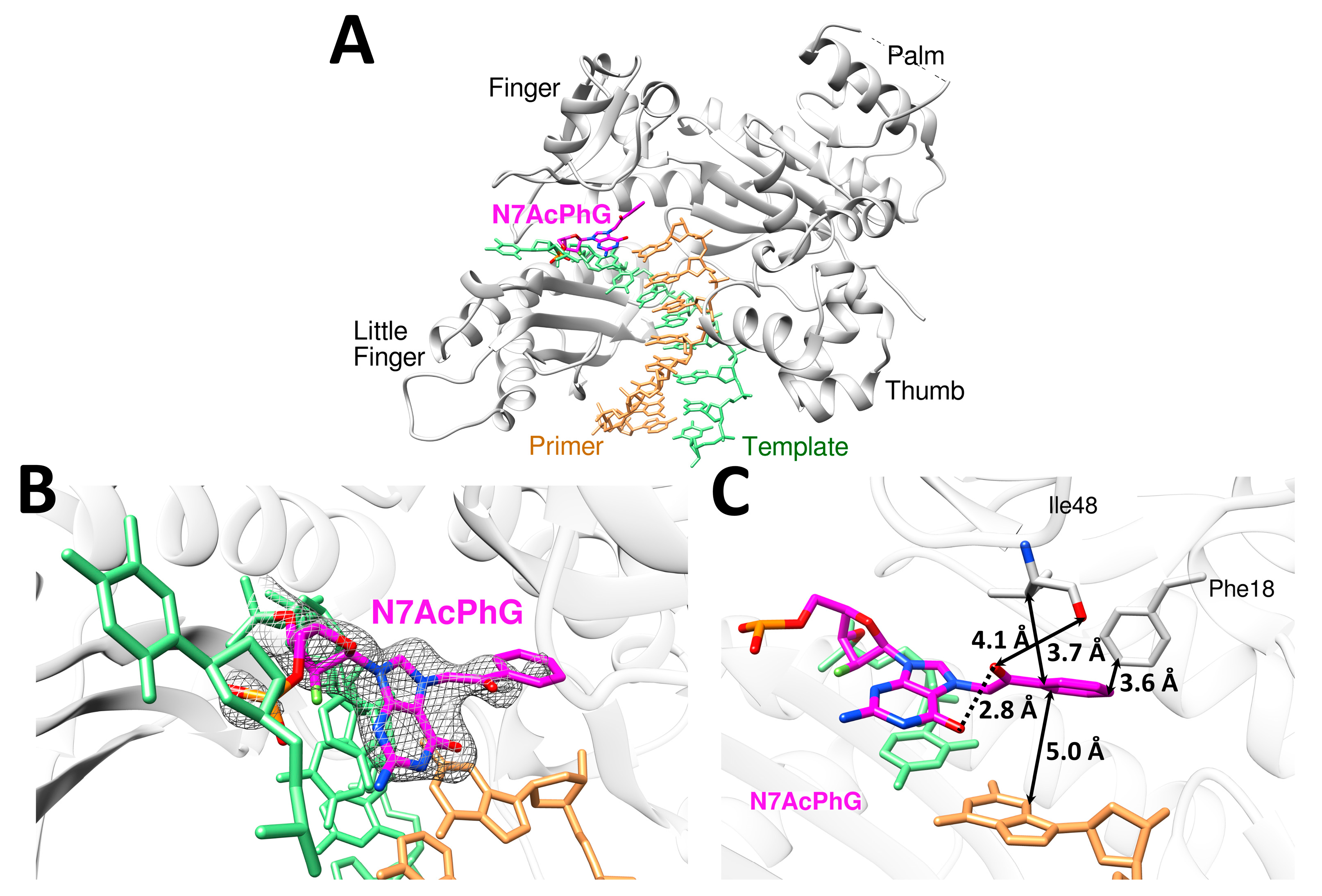 Molecules 30 01264 g005 Molecules 30 01264 g005