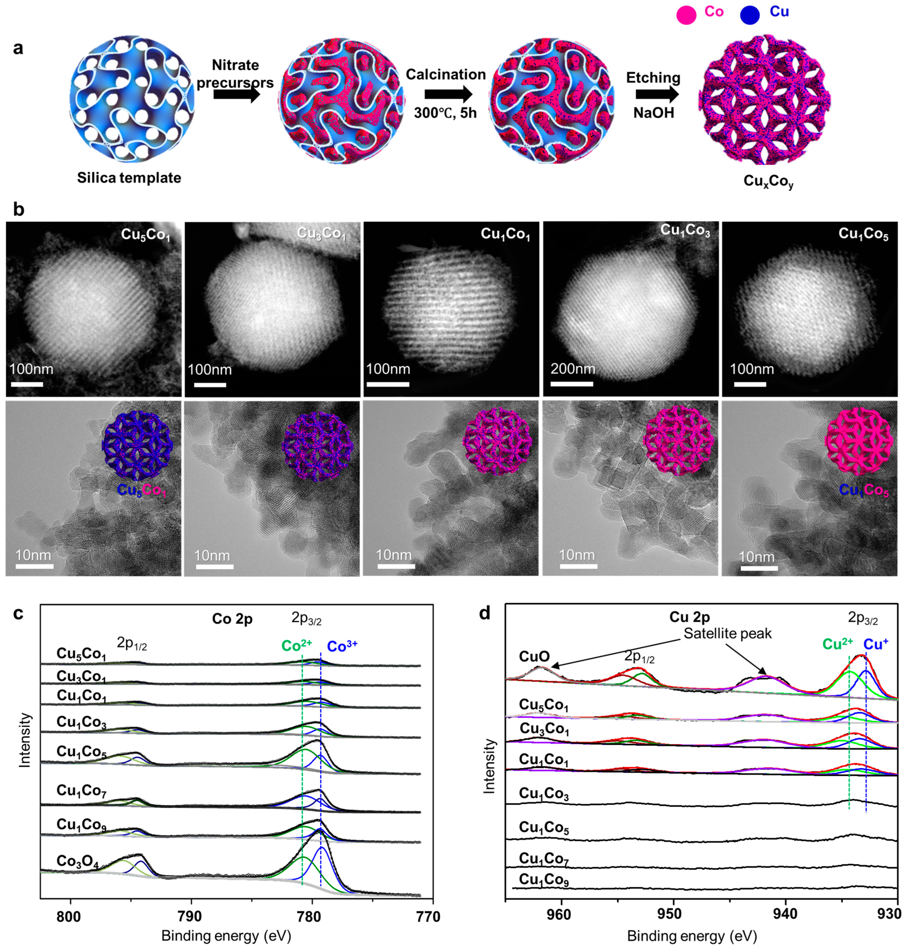 Molecules 30 01270 g014