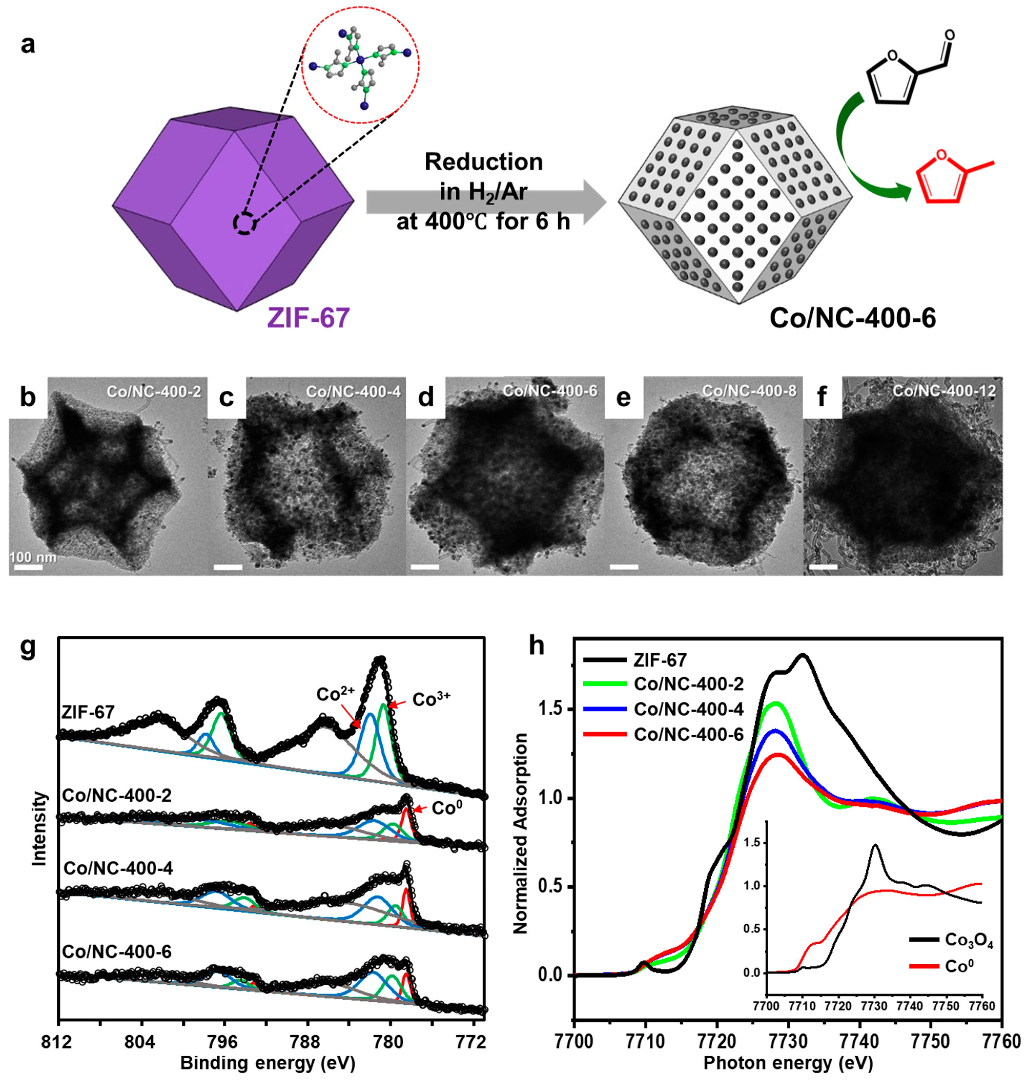 Molecules 30 01270 g020