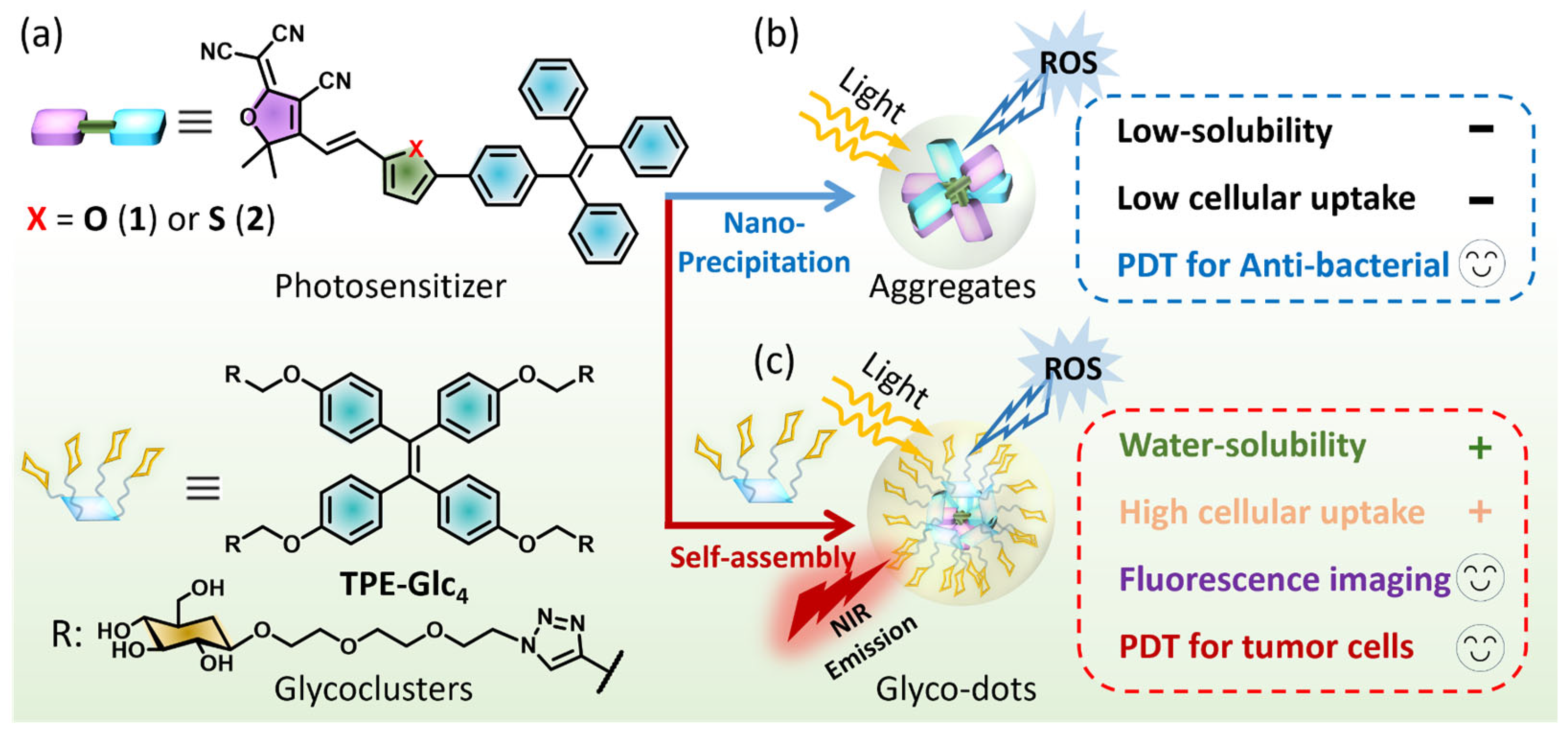 Molecules 30 01274 g001