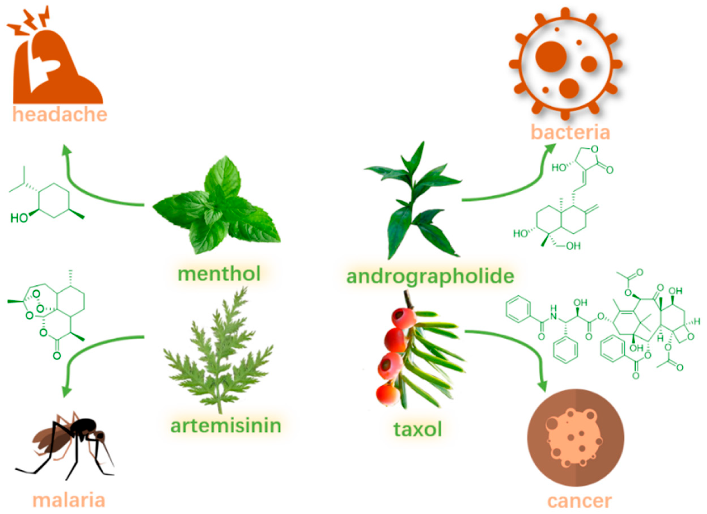 Molecules 30 01275 g001