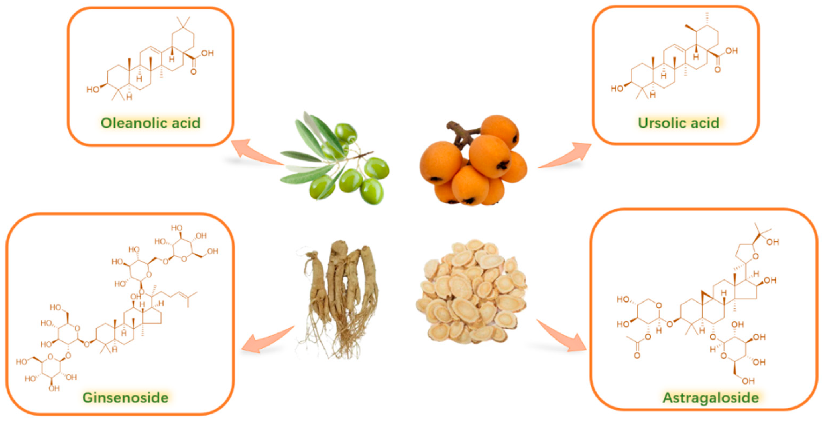 Molecules 30 01275 g002