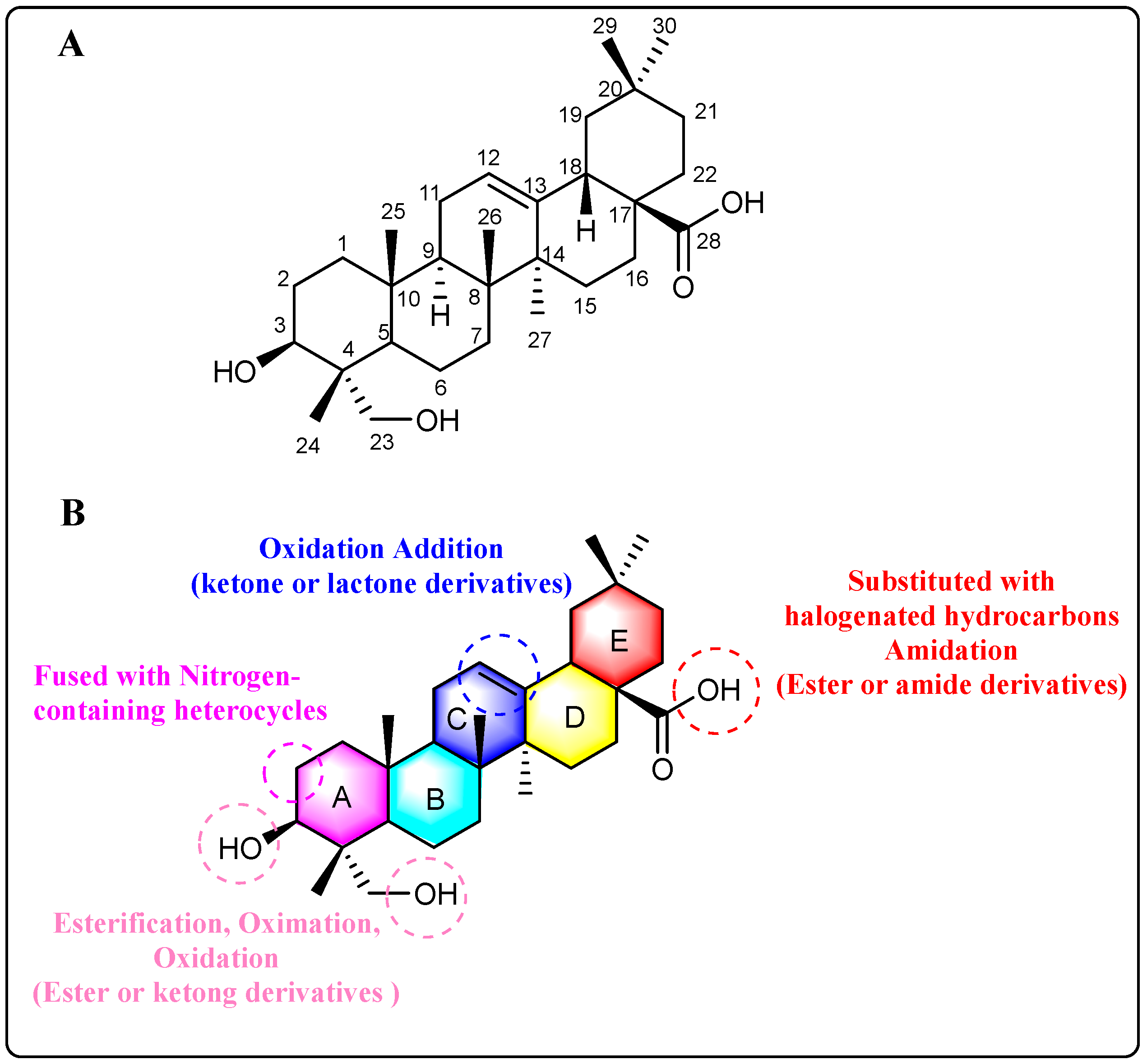 Molecules 30 01275 g003