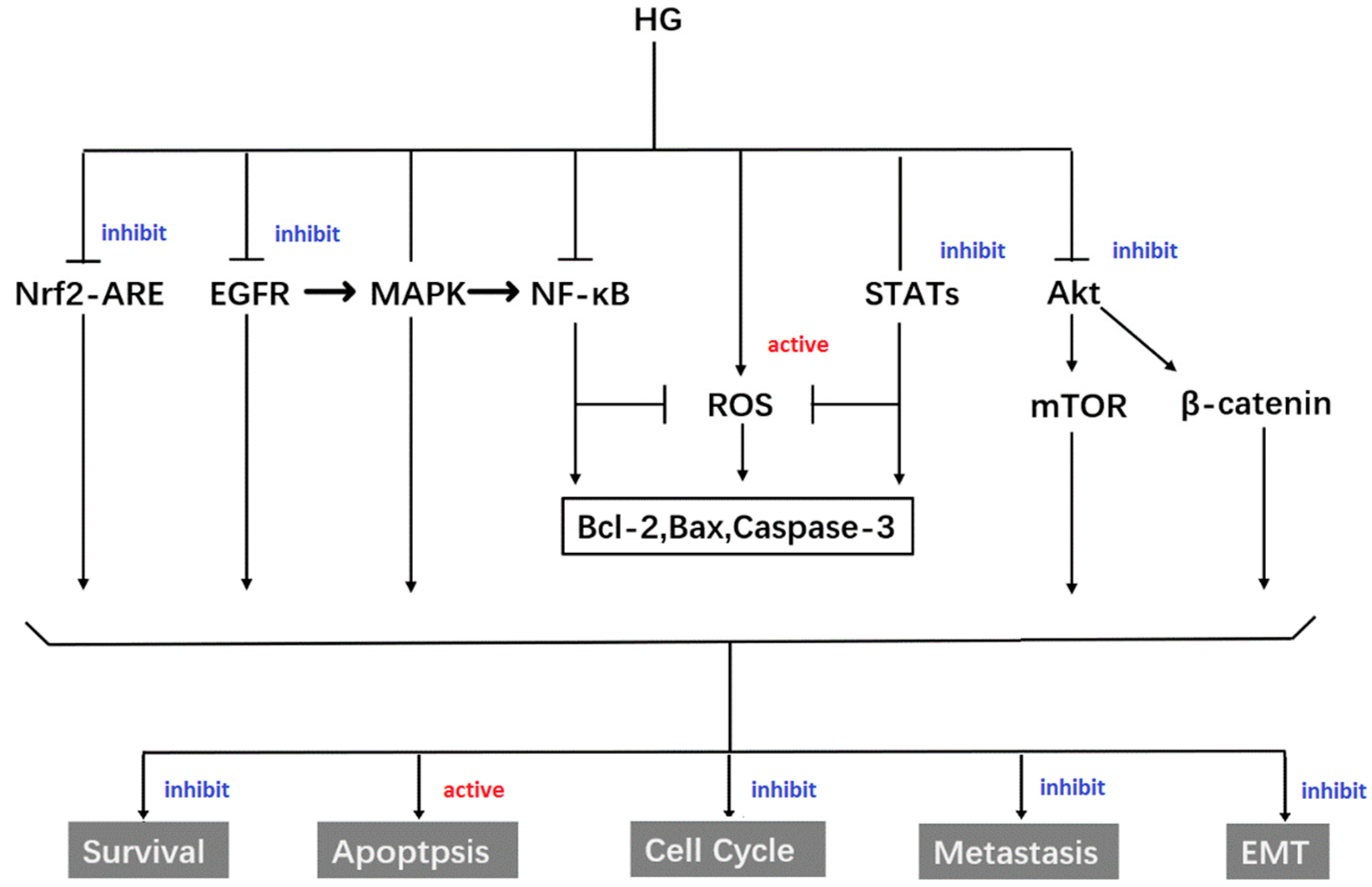 Molecules 30 01275 g004