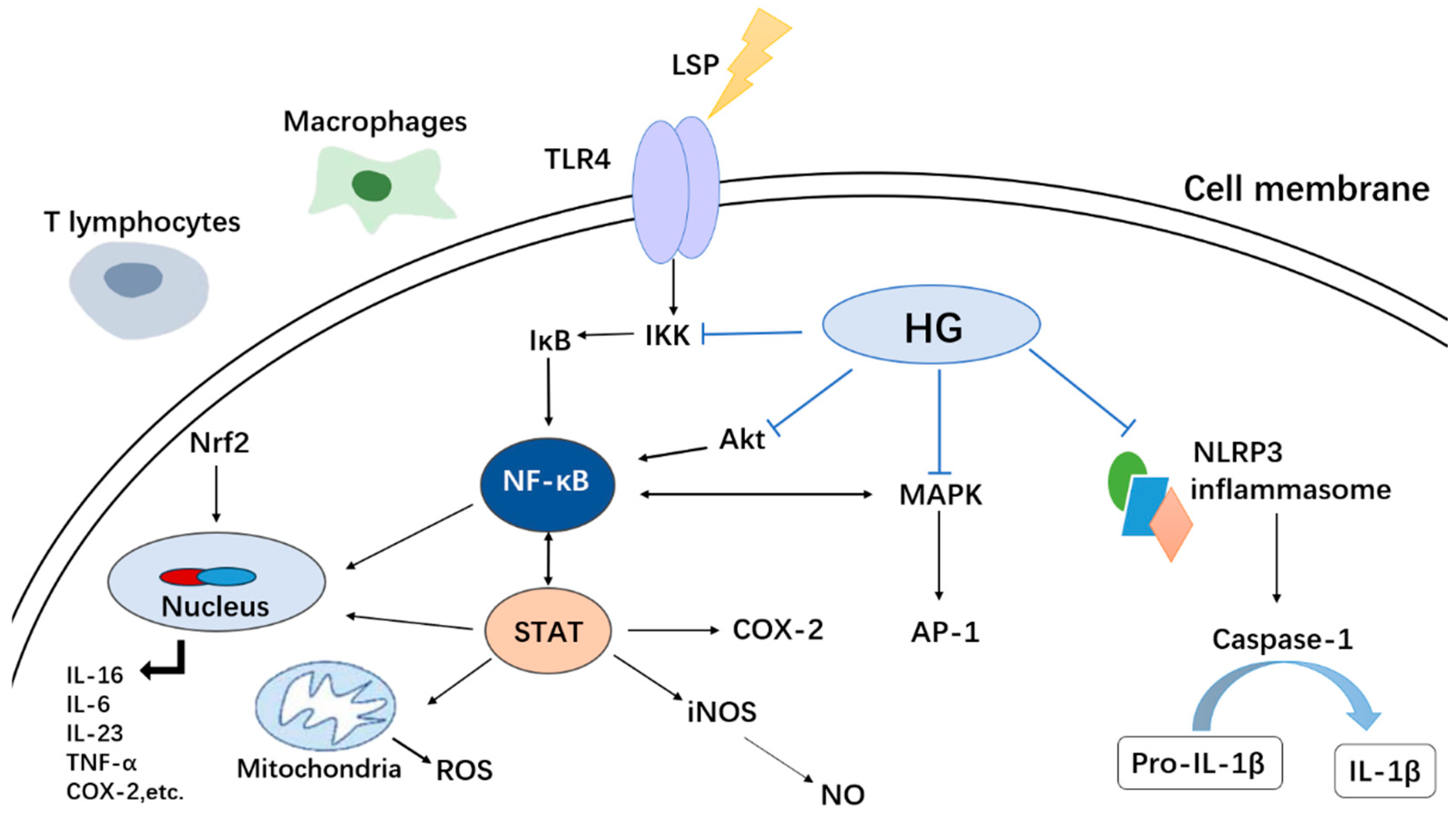 Molecules 30 01275 g018