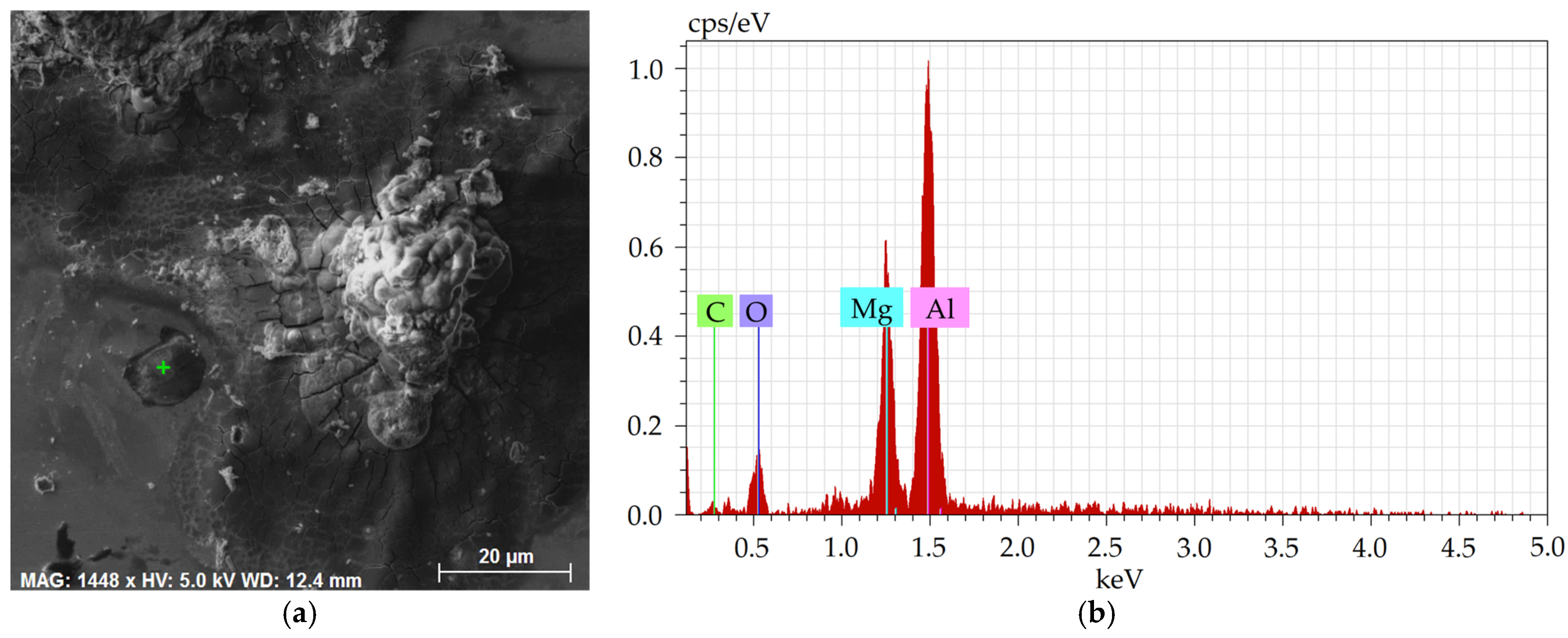 Molecules 30 01284 g011