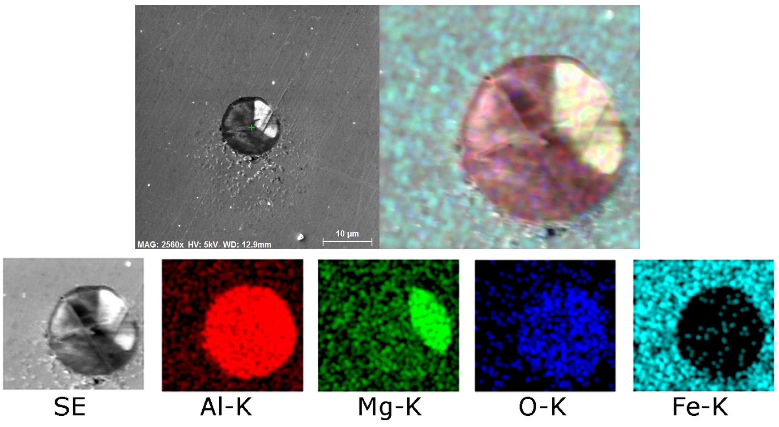 Molecules 30 01284 g012